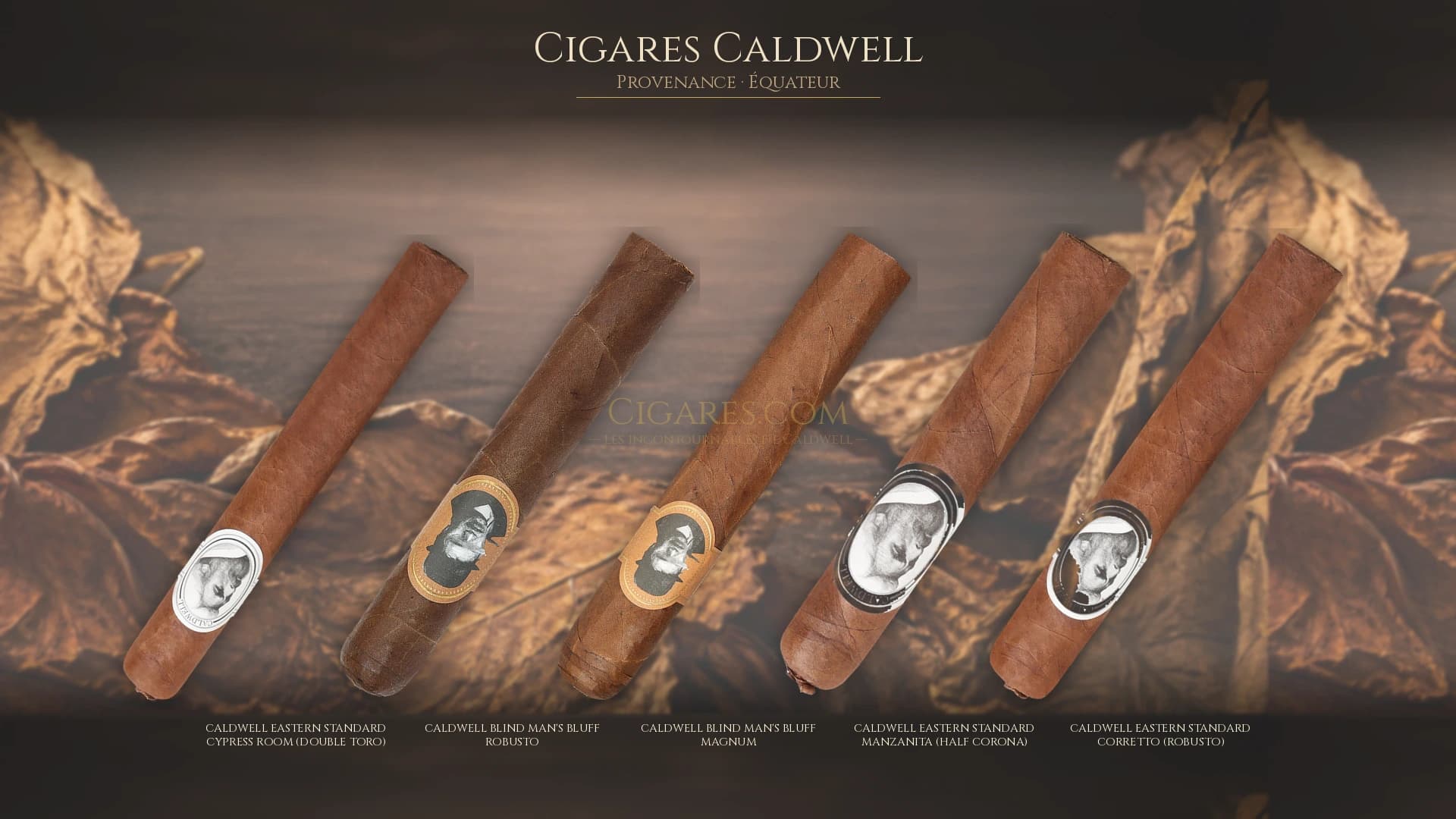 Top cigares Caldwell Equateur — les plus populaires