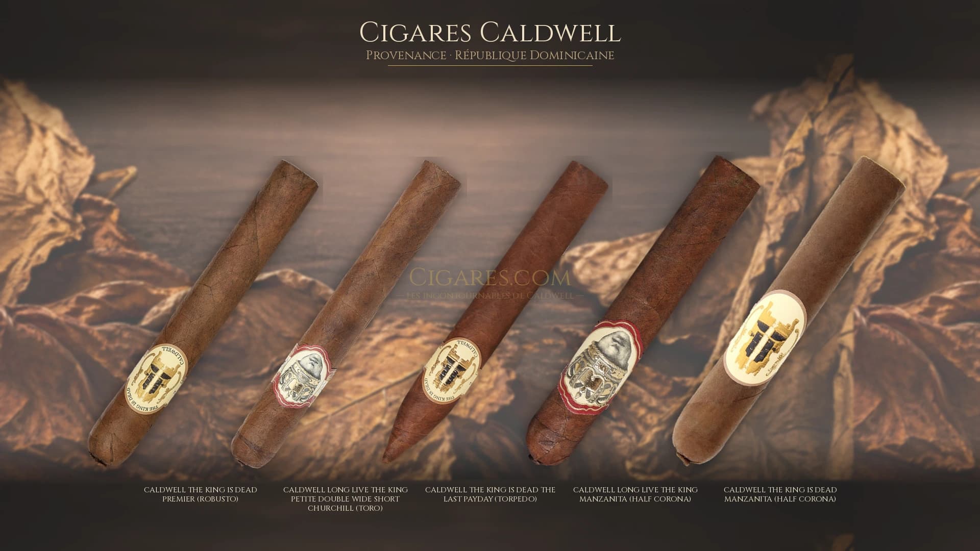 Top cigares Caldwell Republique Dominicaine — les plus populaires