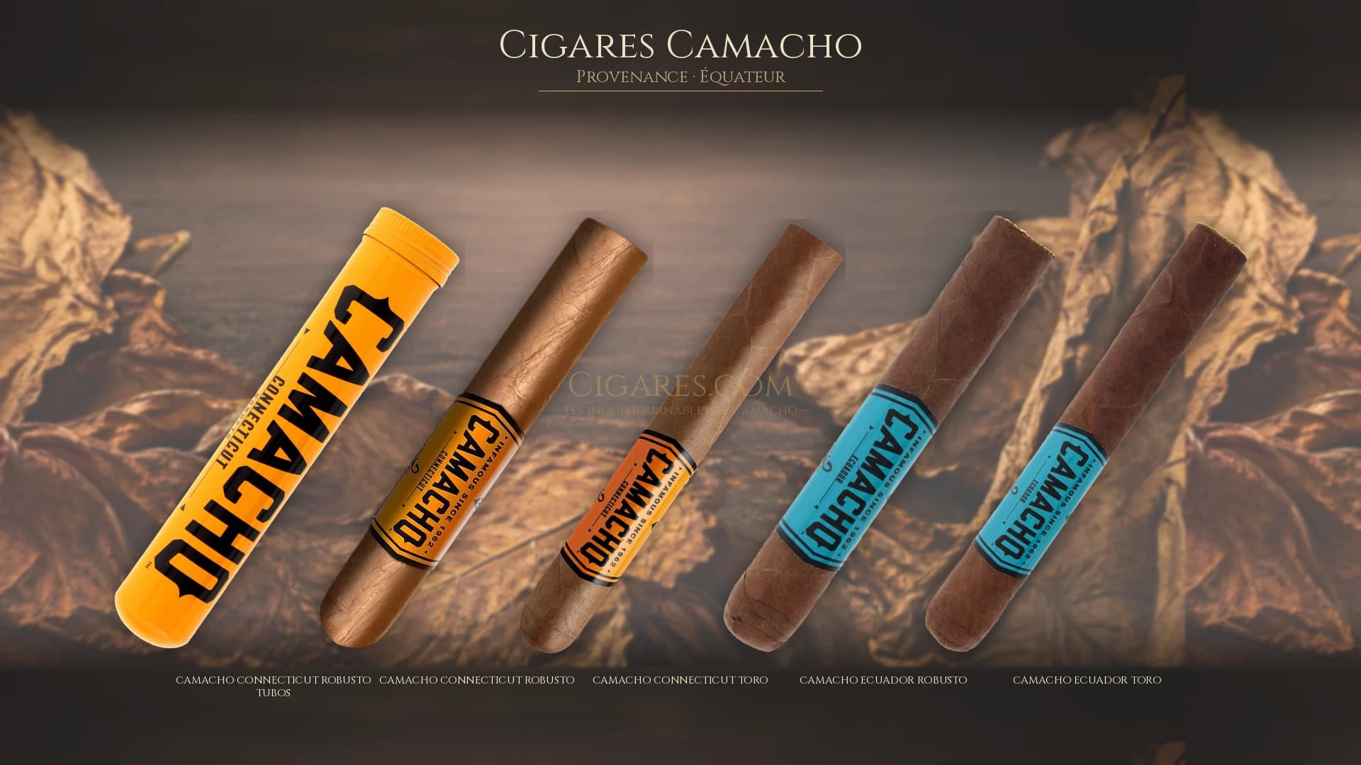 Top cigares Camacho Equateur — les plus populaires