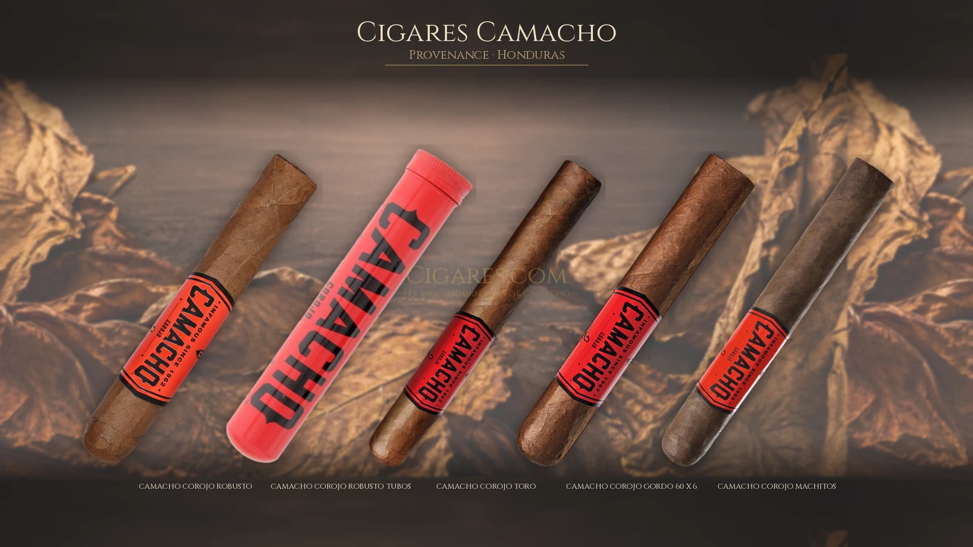 Top cigares Camacho Honduras — les plus populaires