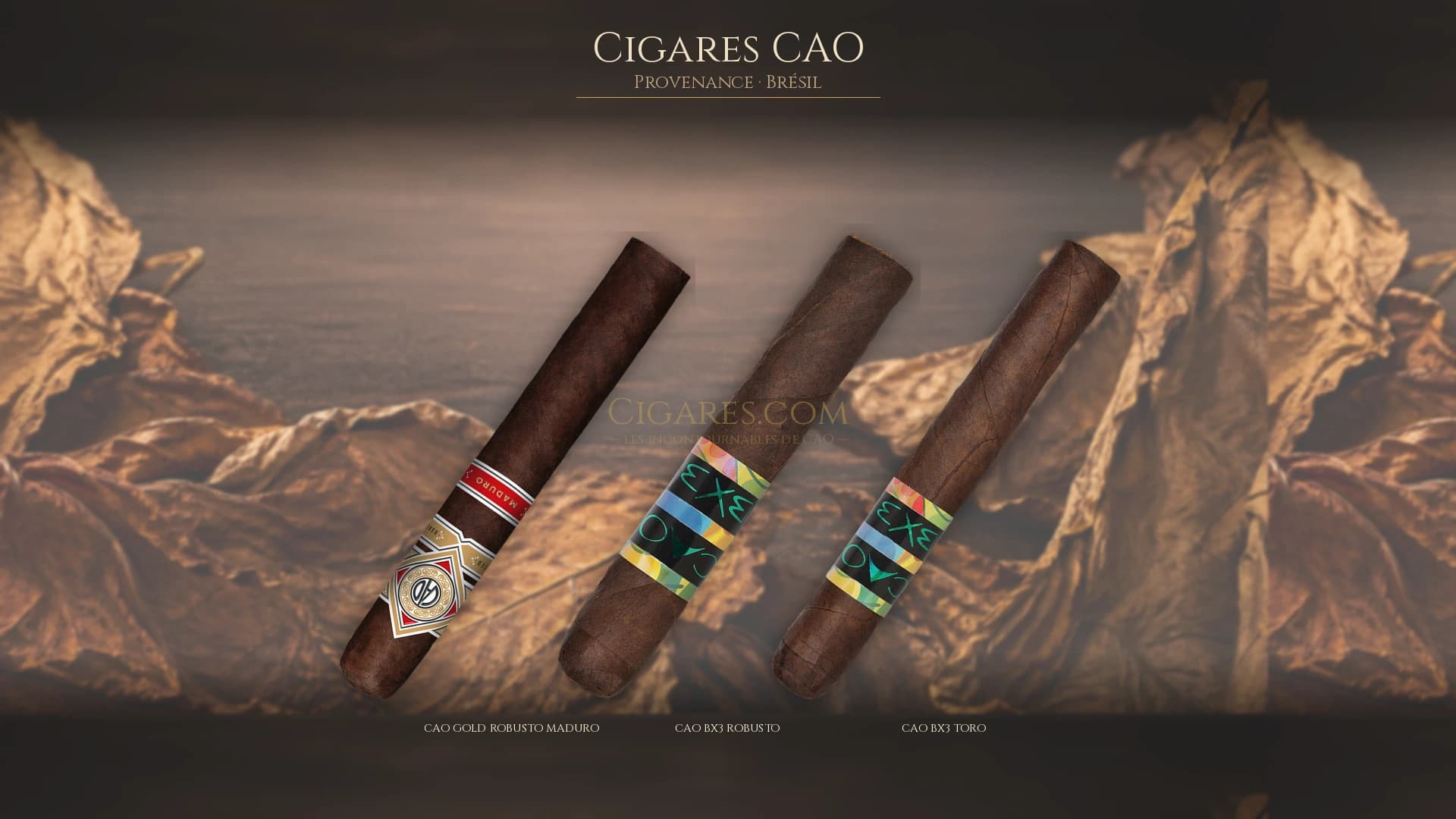 Top cigares CAO Bresil — les plus populaires