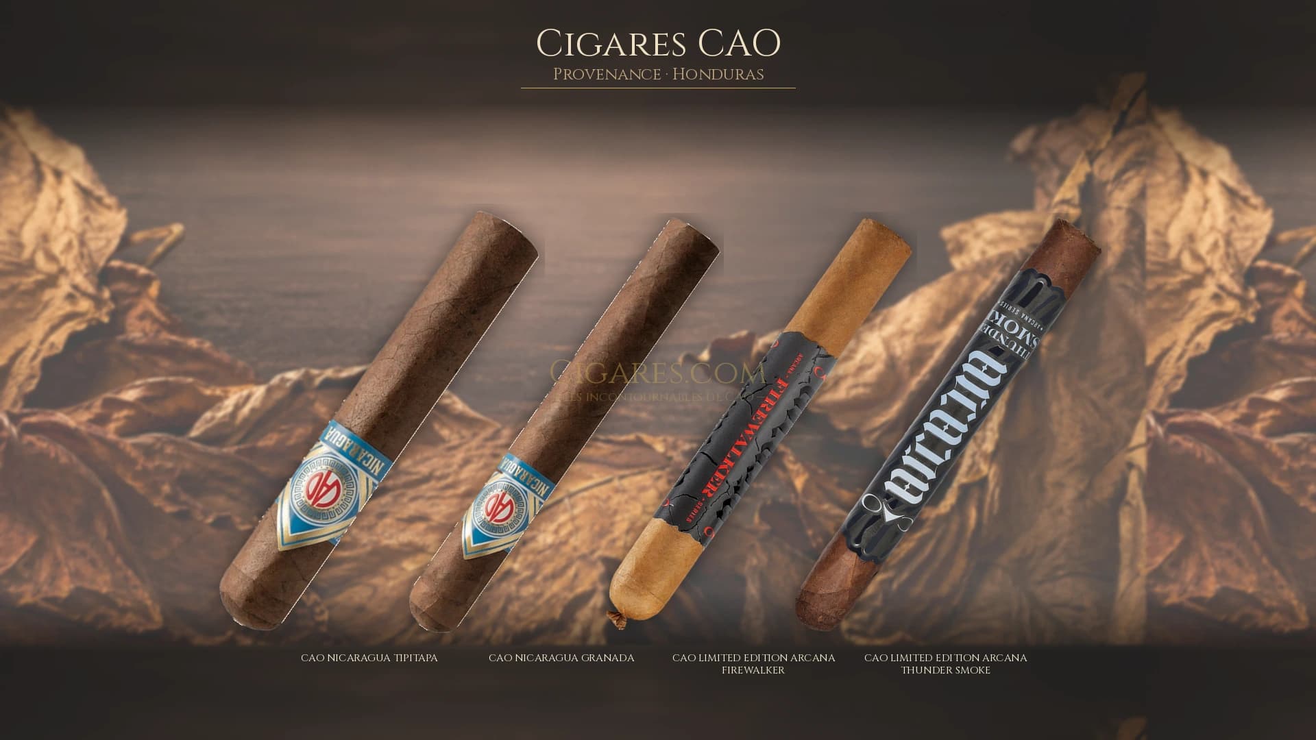 Top cigares CAO Honduras — les plus populaires