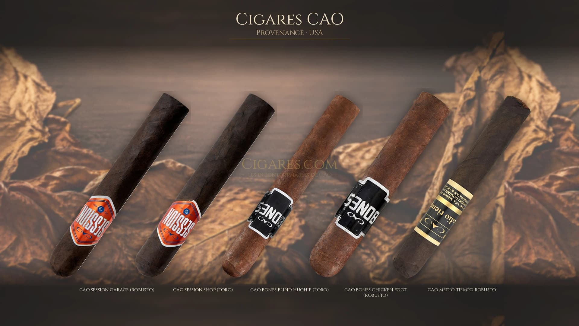 Top cigares CAO Usa — les plus populaires