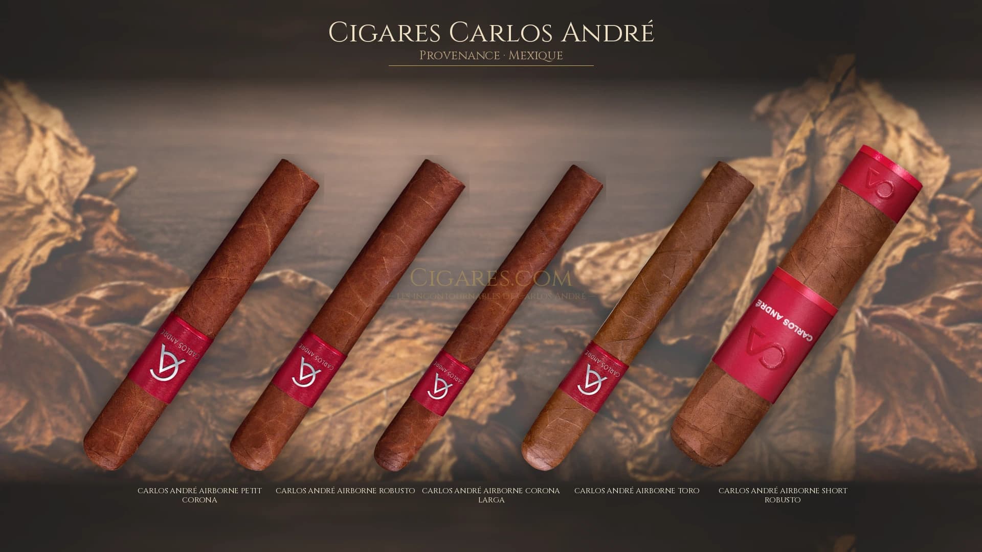 Top cigares Carlos André Mexique — les plus populaires