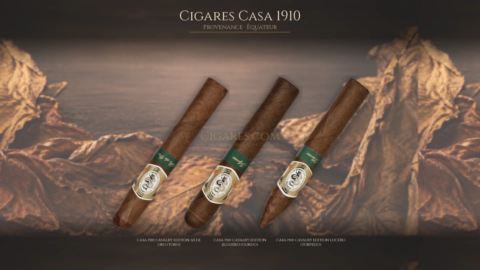 Top cigares Casa 1910 Equateur — les plus populaires