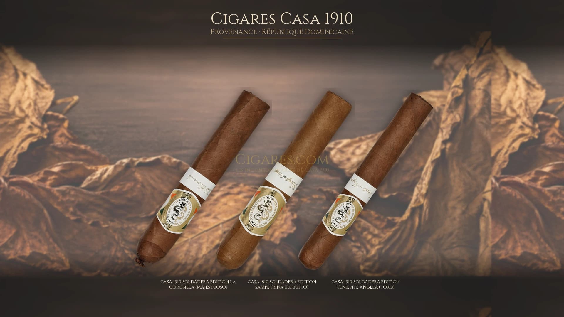 Top cigares Casa 1910 Republique Dominicaine — les plus populaires