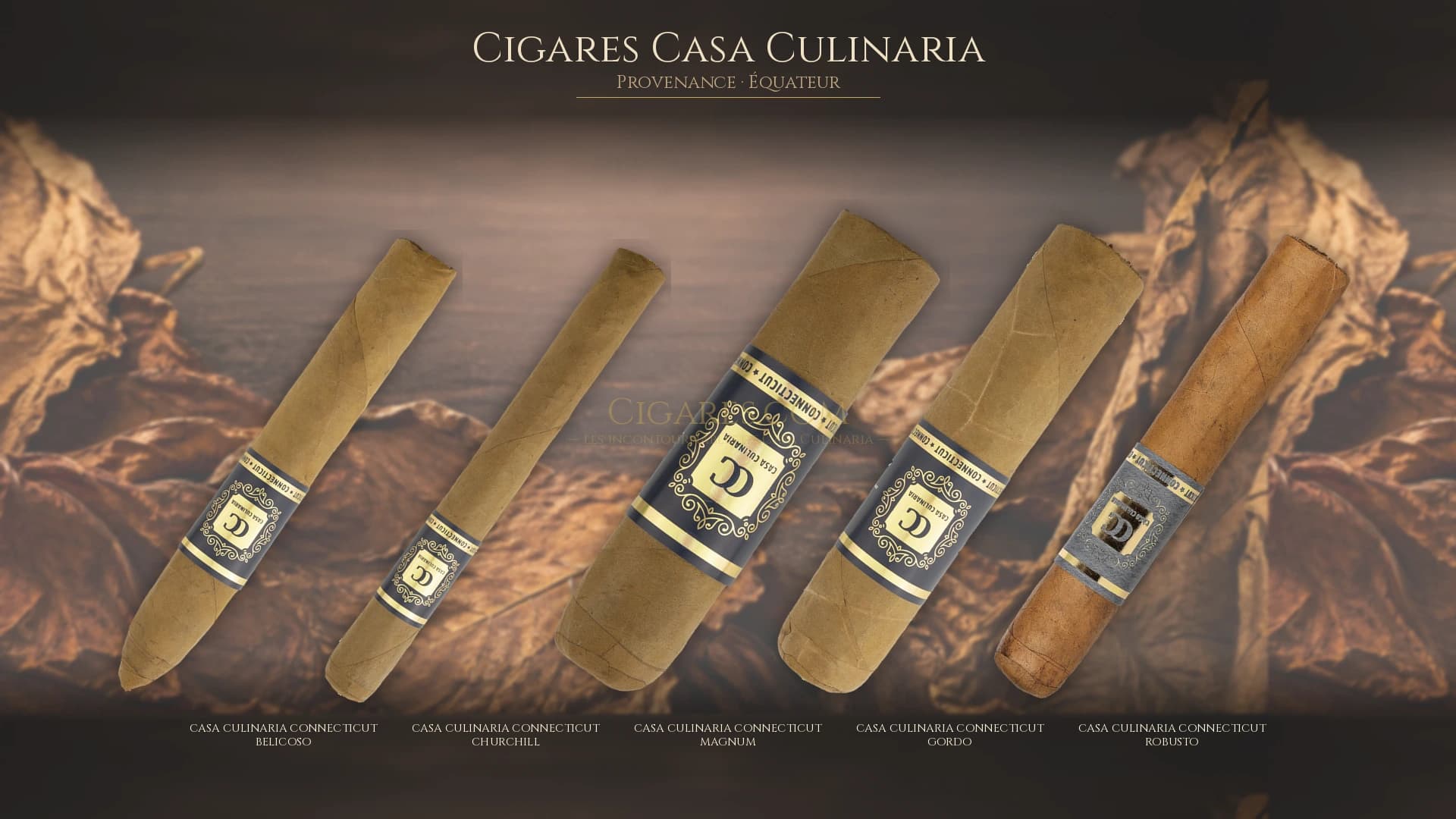 Top cigares Casa Culinaria Equateur — les plus populaires