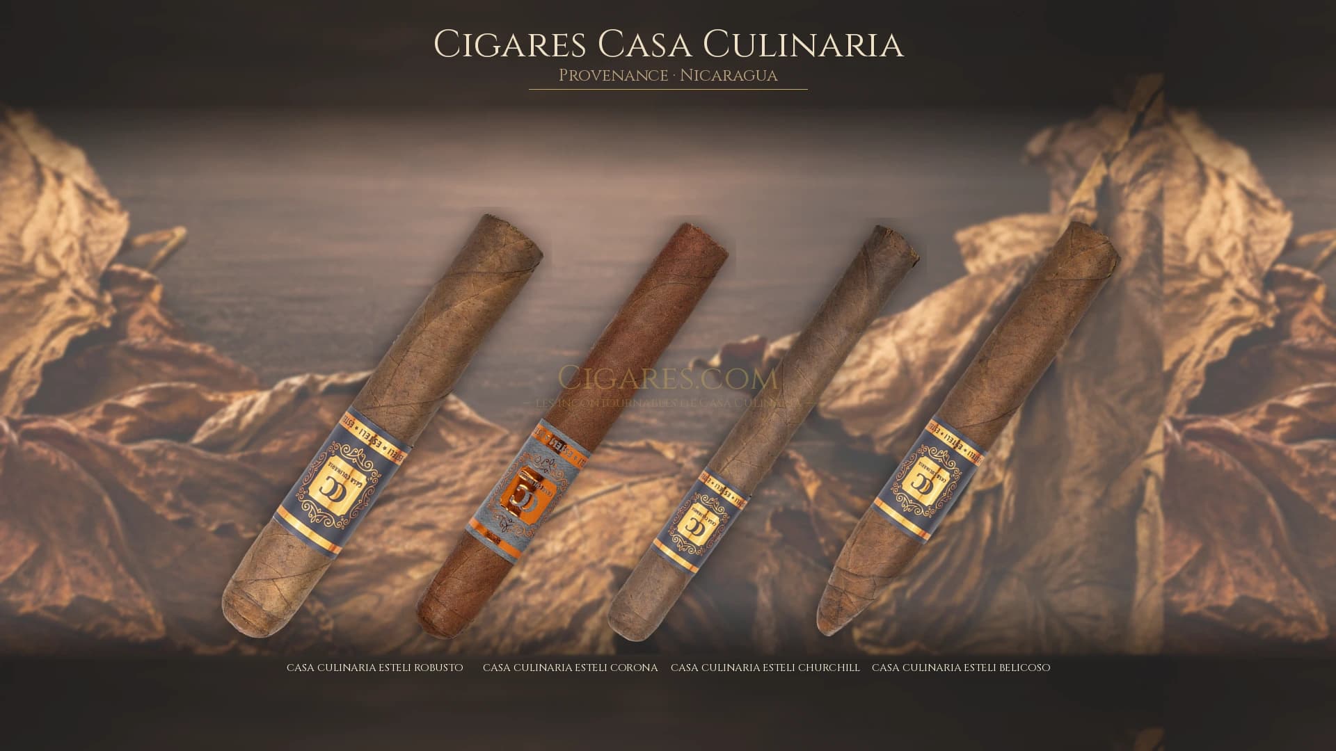 Top cigares Casa Culinaria Nicaragua — les plus populaires