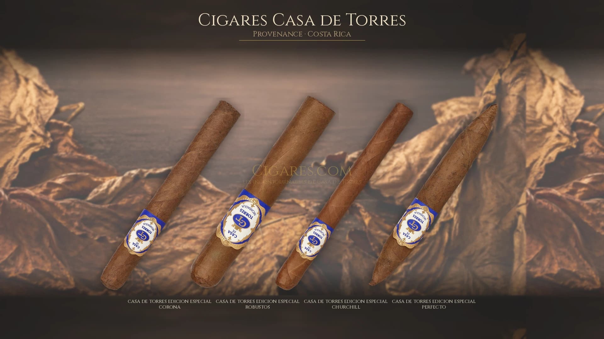 Top cigares Casa de Torres Costa Rica — les plus populaires
