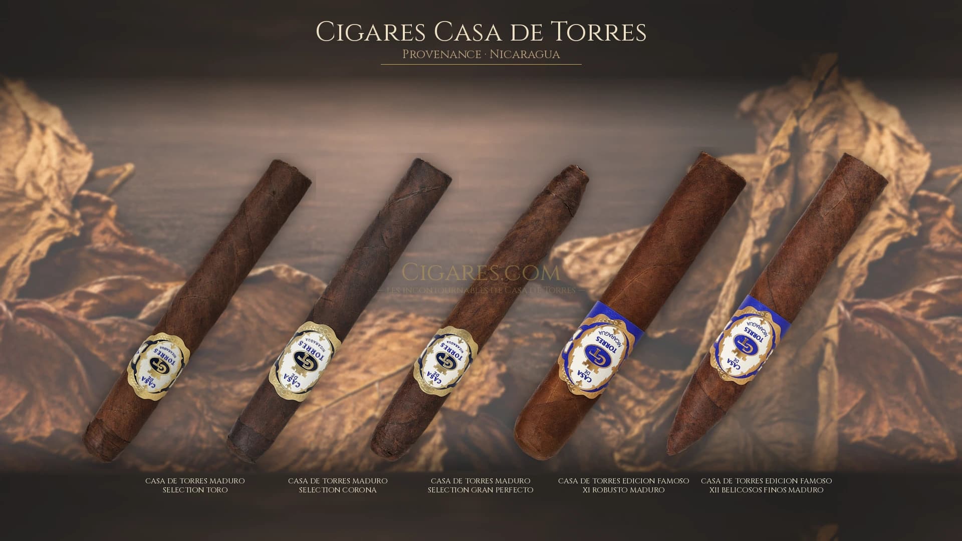 Top cigares Casa de Torres Nicaragua — les plus populaires