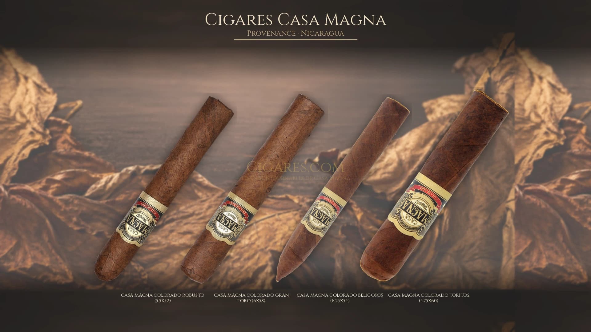 Top cigares Casa Magna Nicaragua — les plus populaires