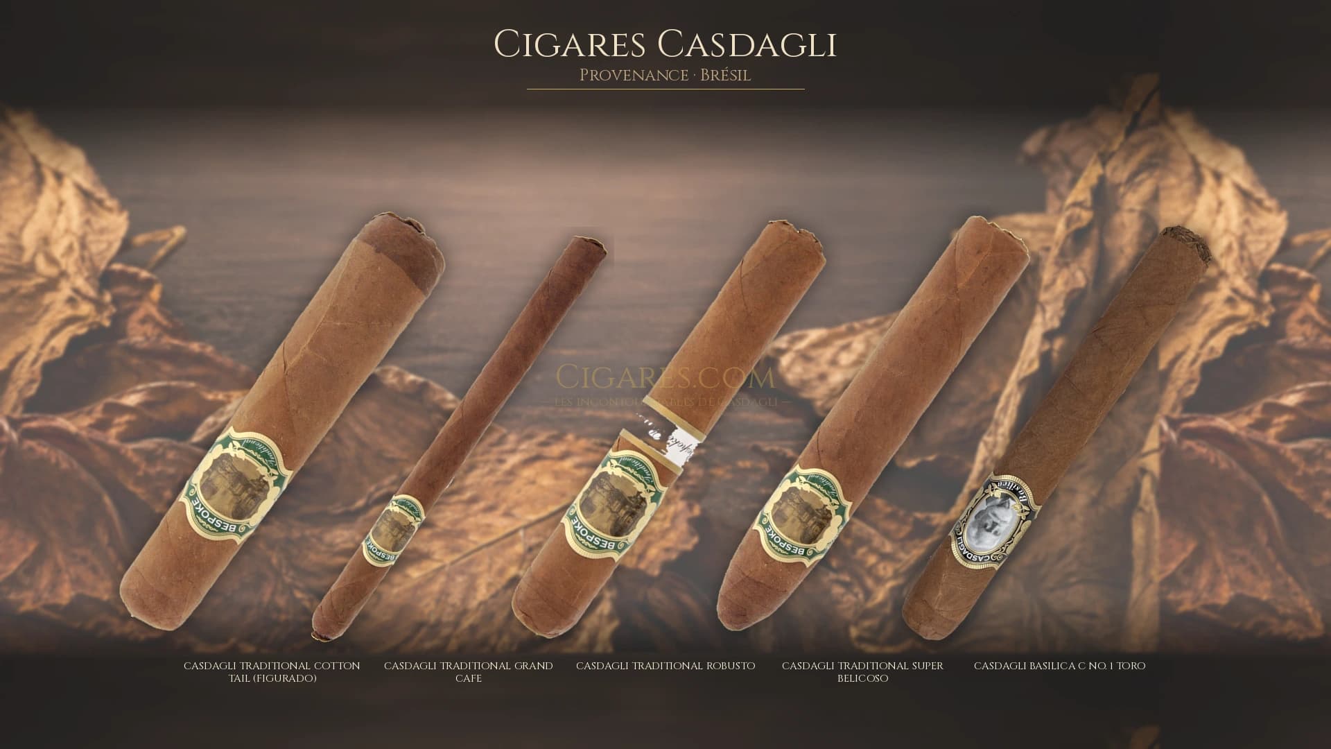 Top cigares Casdagli Bresil — les plus populaires