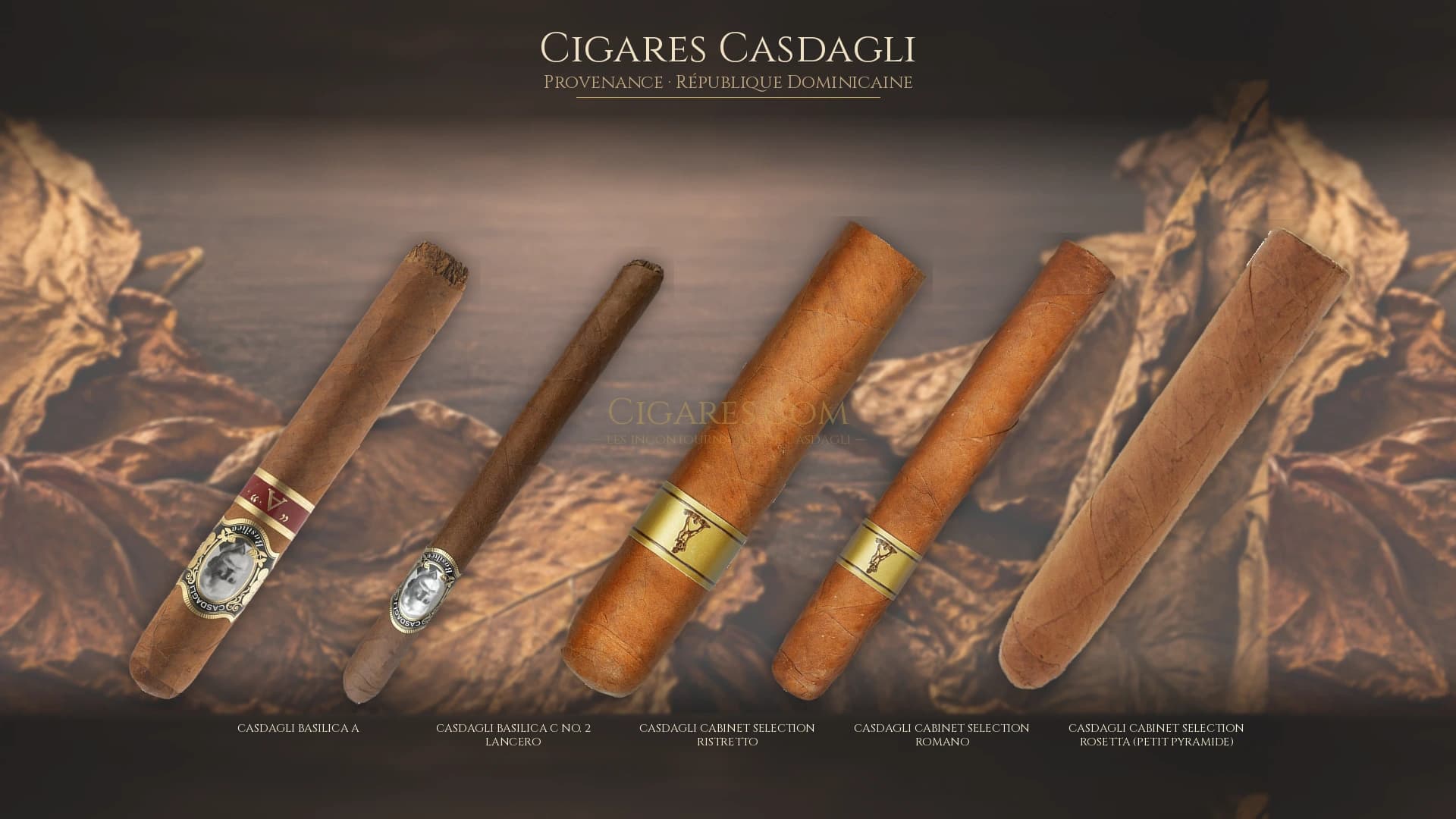 Top cigares Casdagli Republique Dominicaine — les plus populaires