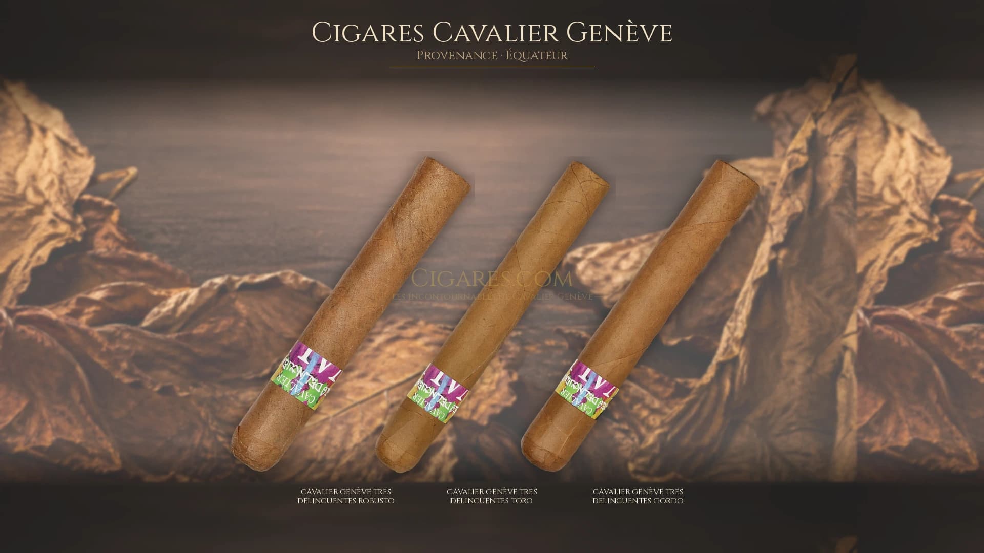 Top cigares Cavalier Genève Equateur — les plus populaires