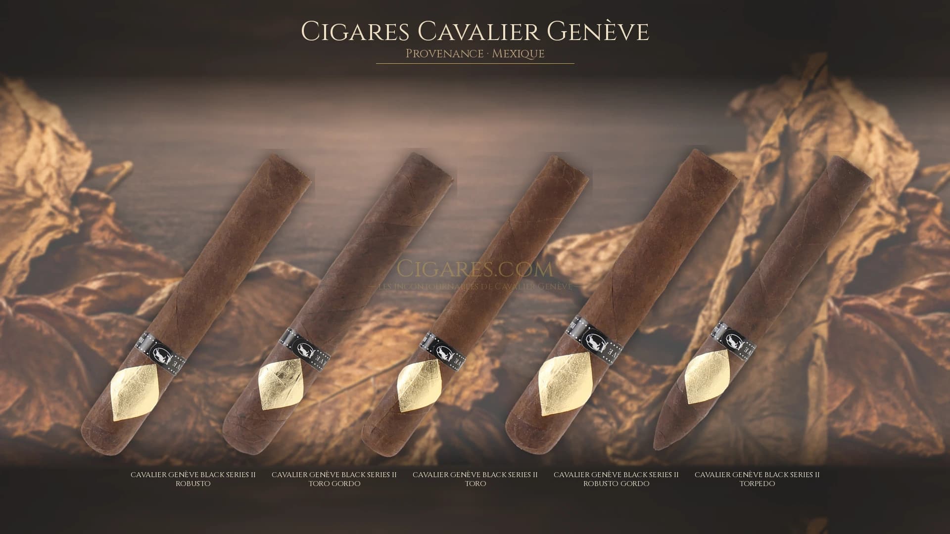 Top cigares Cavalier Genève Mexique — les plus populaires