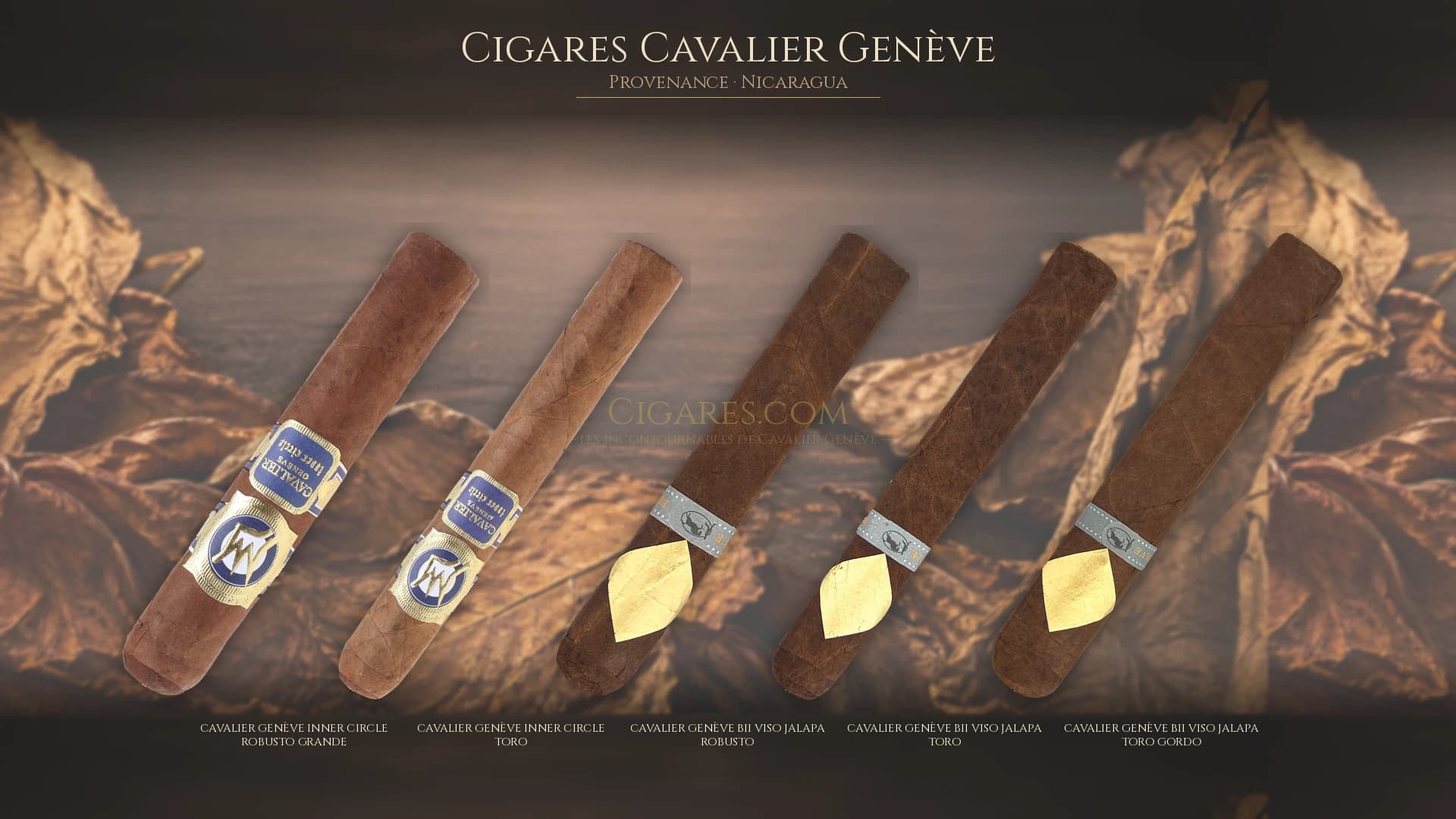 Top cigares Cavalier Genève Nicaragua — les plus populaires