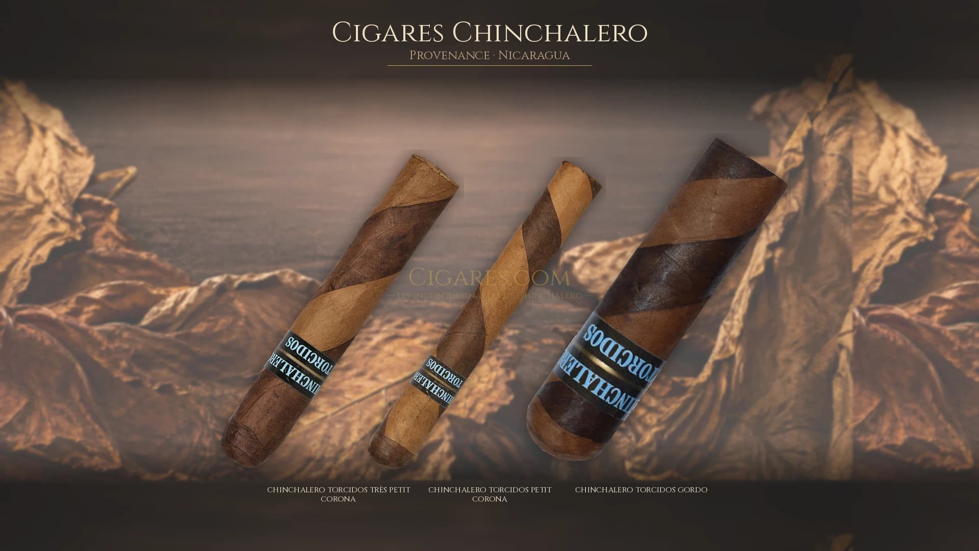Top cigares Chinchalero Nicaragua — les plus populaires