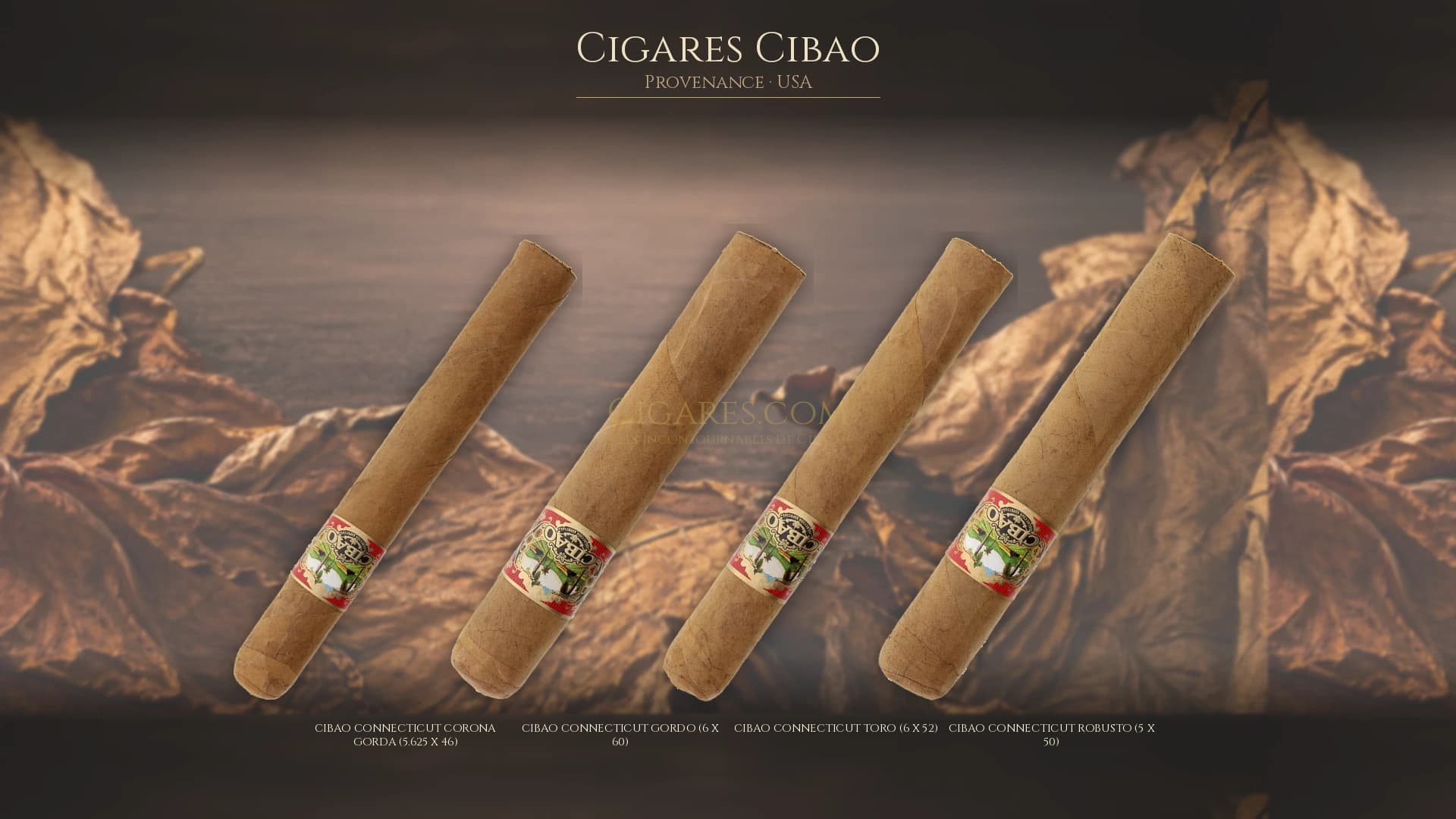 Top cigares Cibao Usa — les plus populaires
