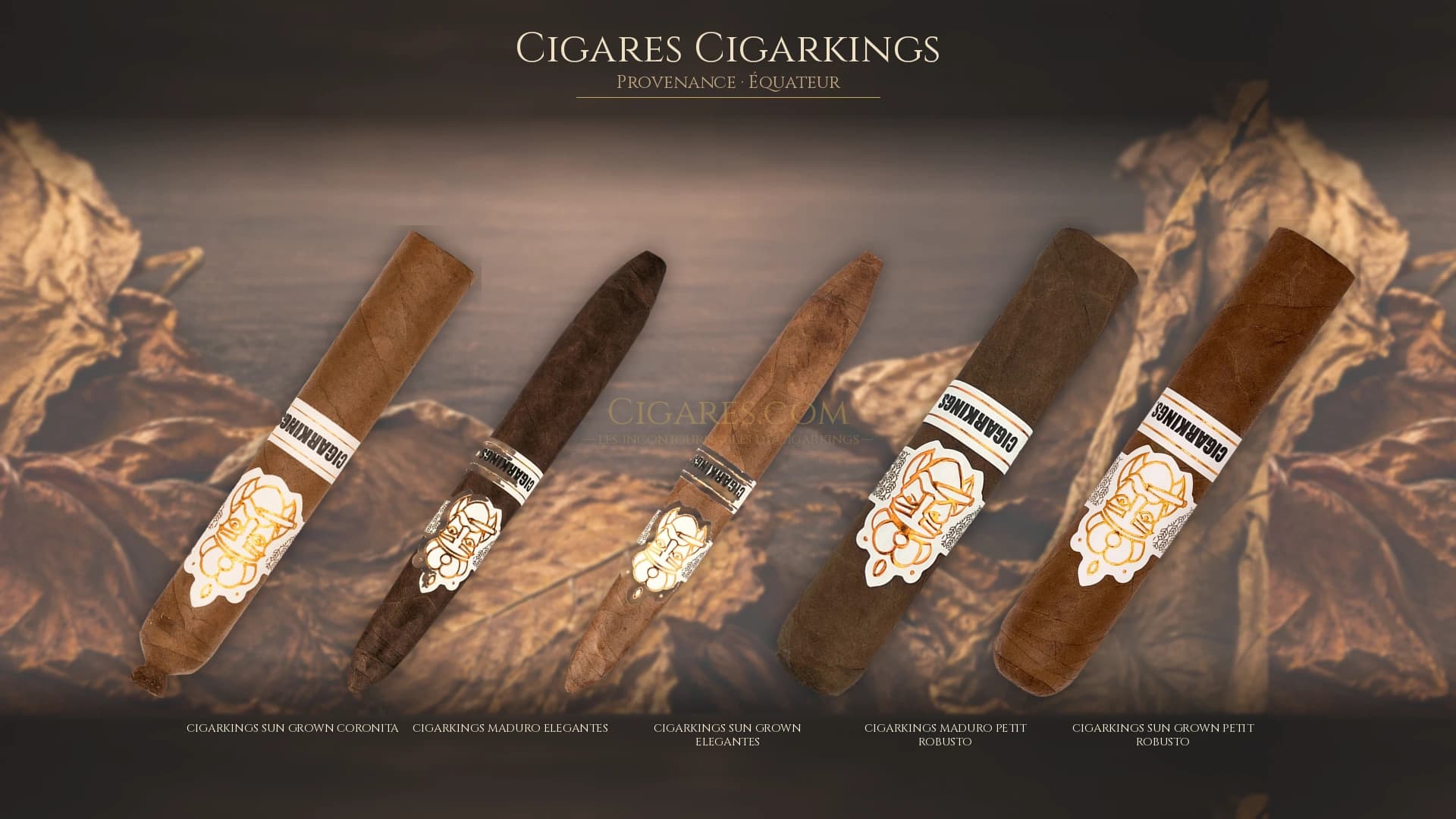 Top cigares Cigarkings Equateur — les plus populaires