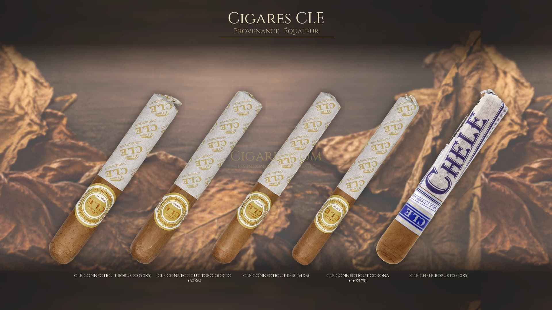 Top cigares CLE Equateur — les plus populaires