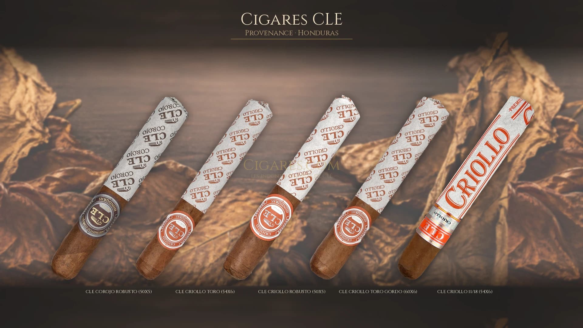 Top cigares CLE Honduras — les plus populaires