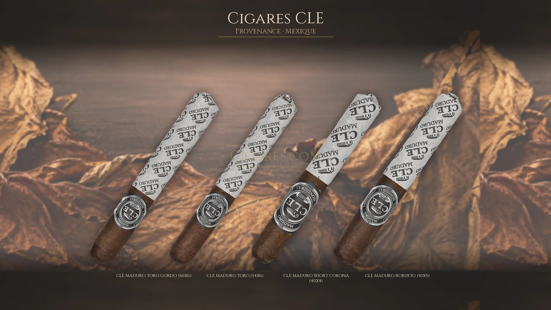 Top cigares CLE Mexique — les plus populaires