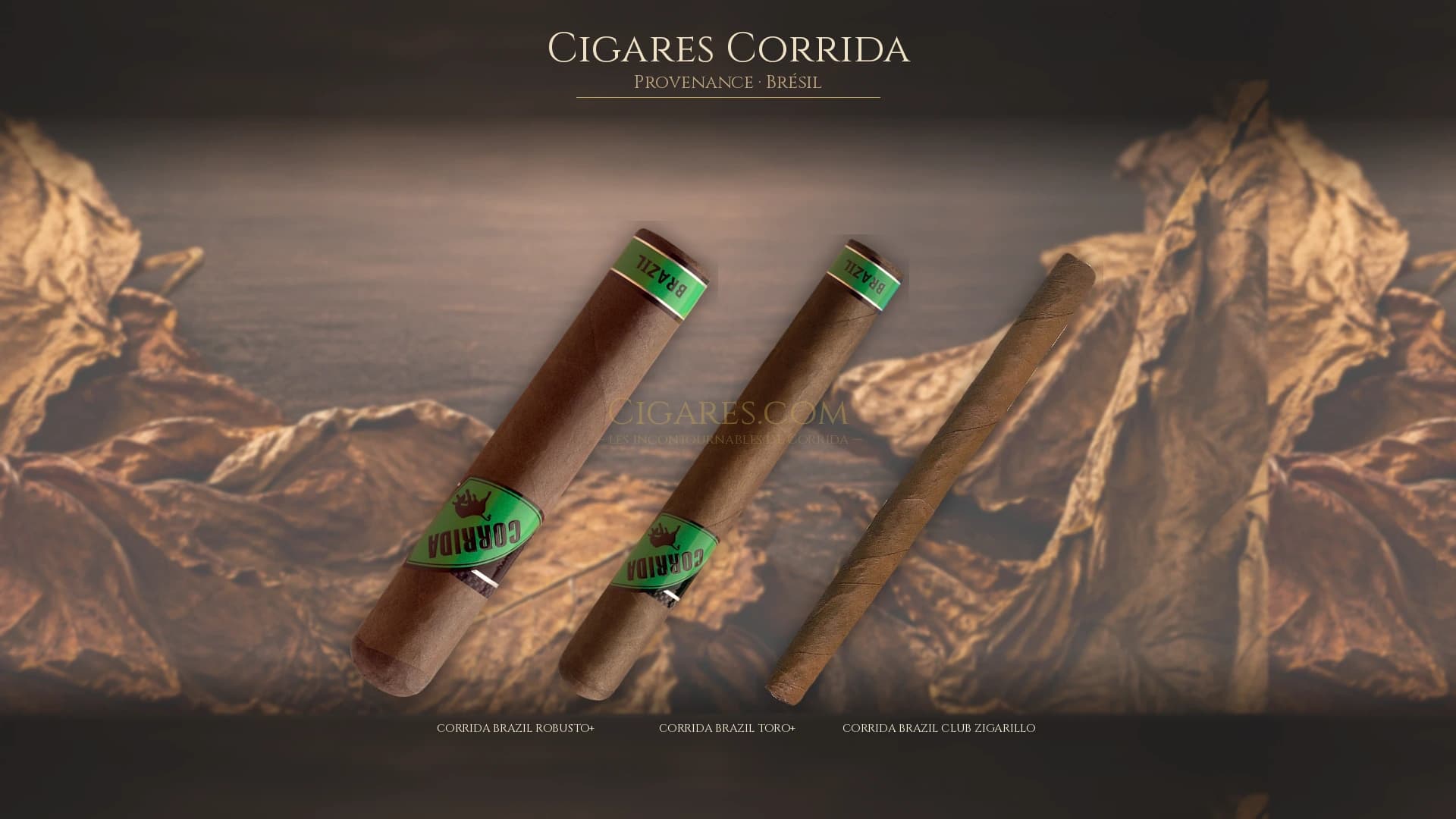 Top cigares Corrida Bresil — les plus populaires