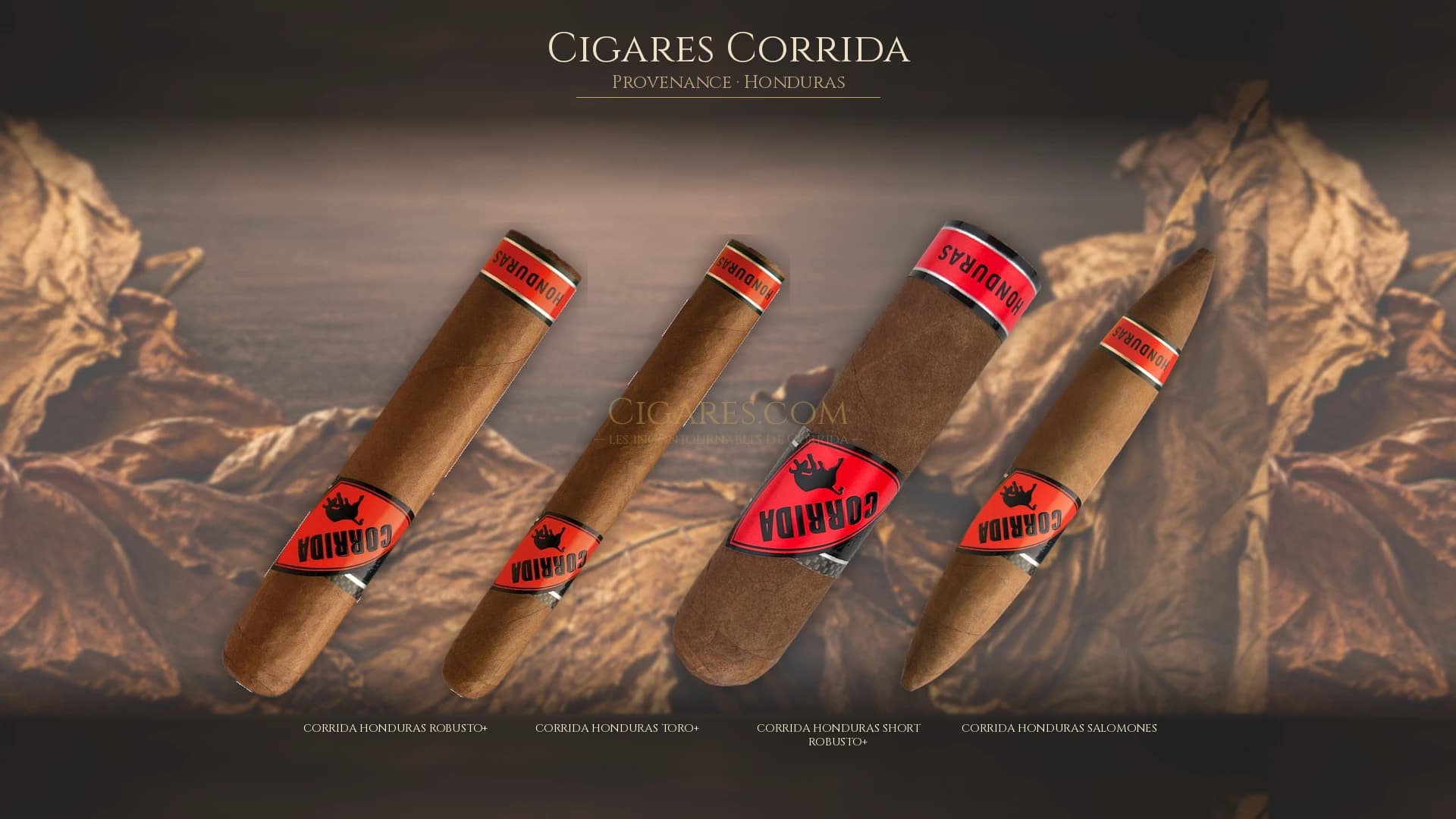 Top cigares Corrida Honduras — les plus populaires