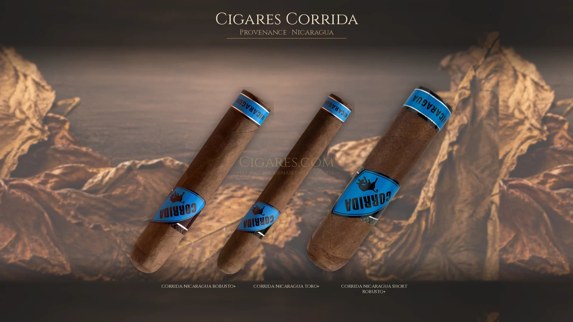 Top cigares Corrida Nicaragua — les plus populaires