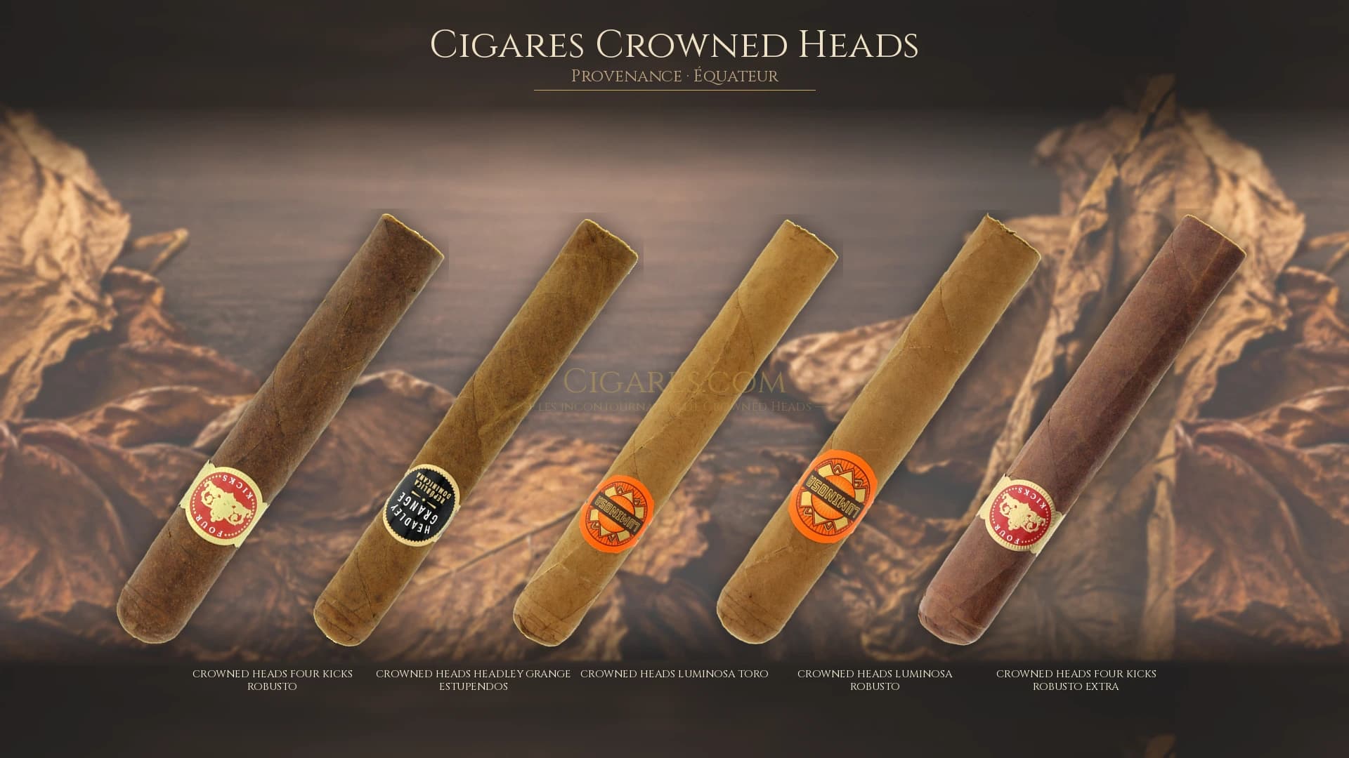 Top cigares Crowned Heads Equateur — les plus populaires