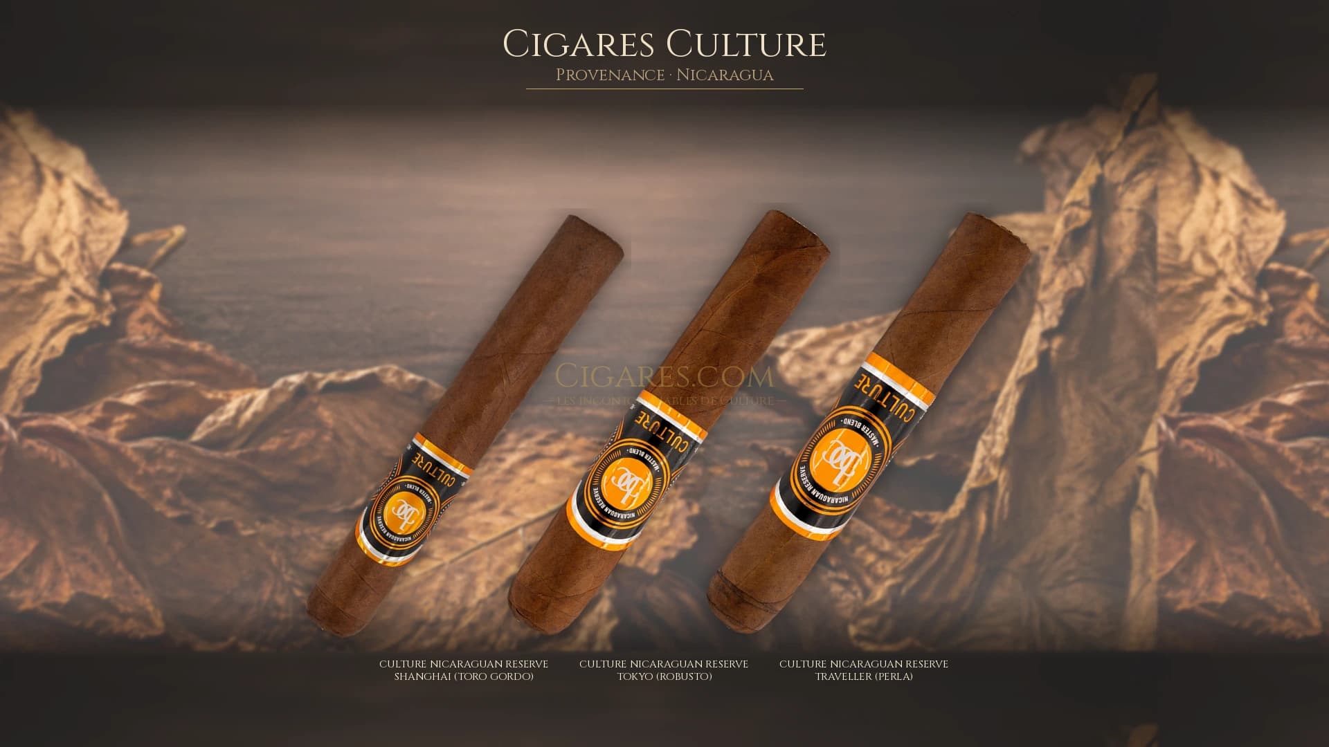 Top cigares Culture Nicaragua — les plus populaires