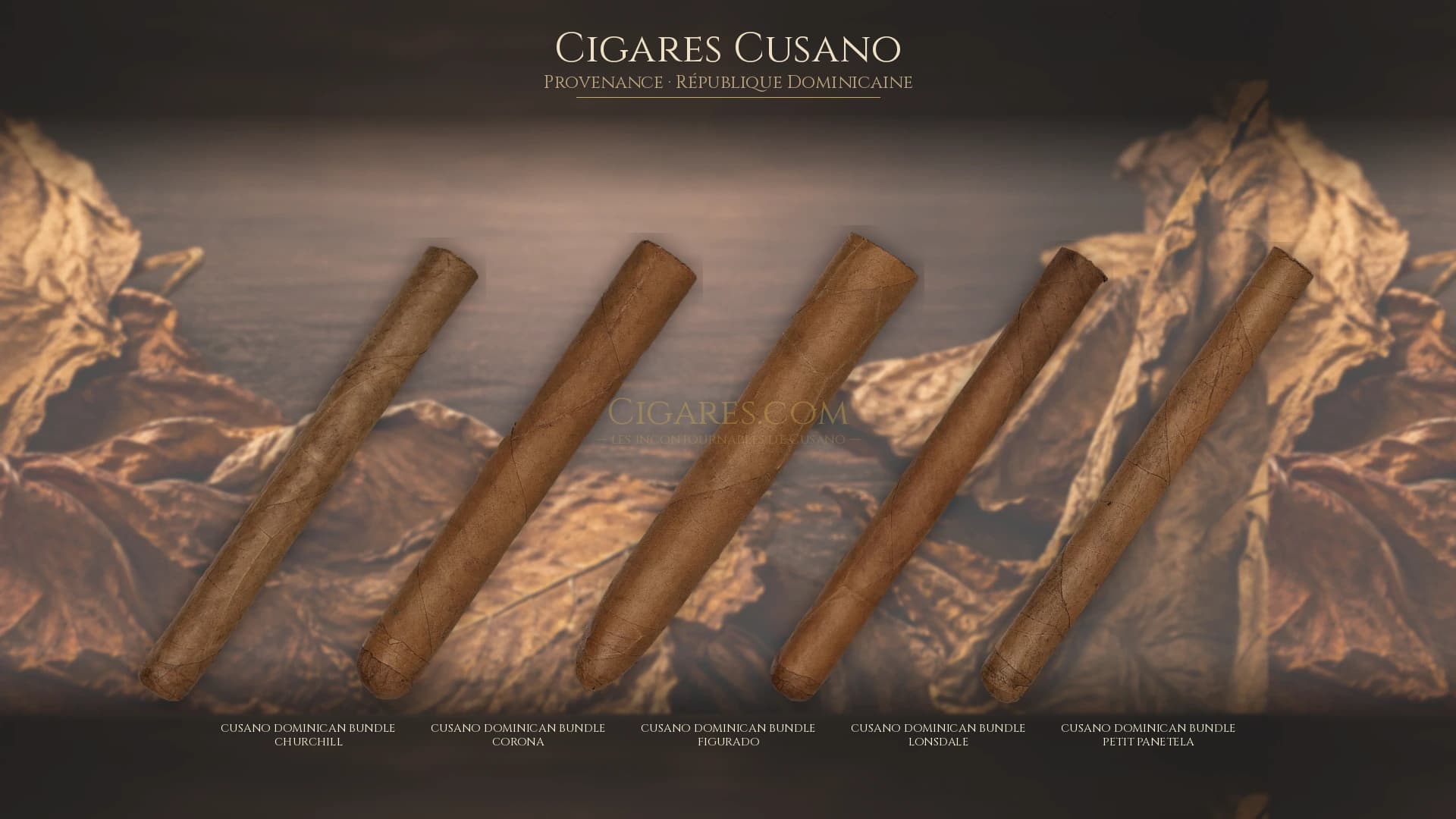 Top cigares Cusano Republique Dominicaine — les plus populaires