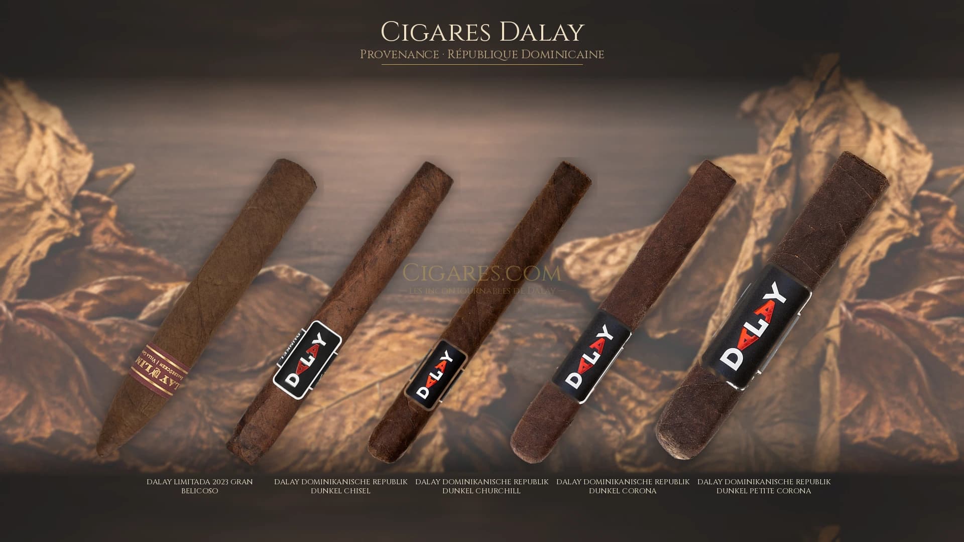 Top cigares Dalay Republique Dominicaine — les plus populaires