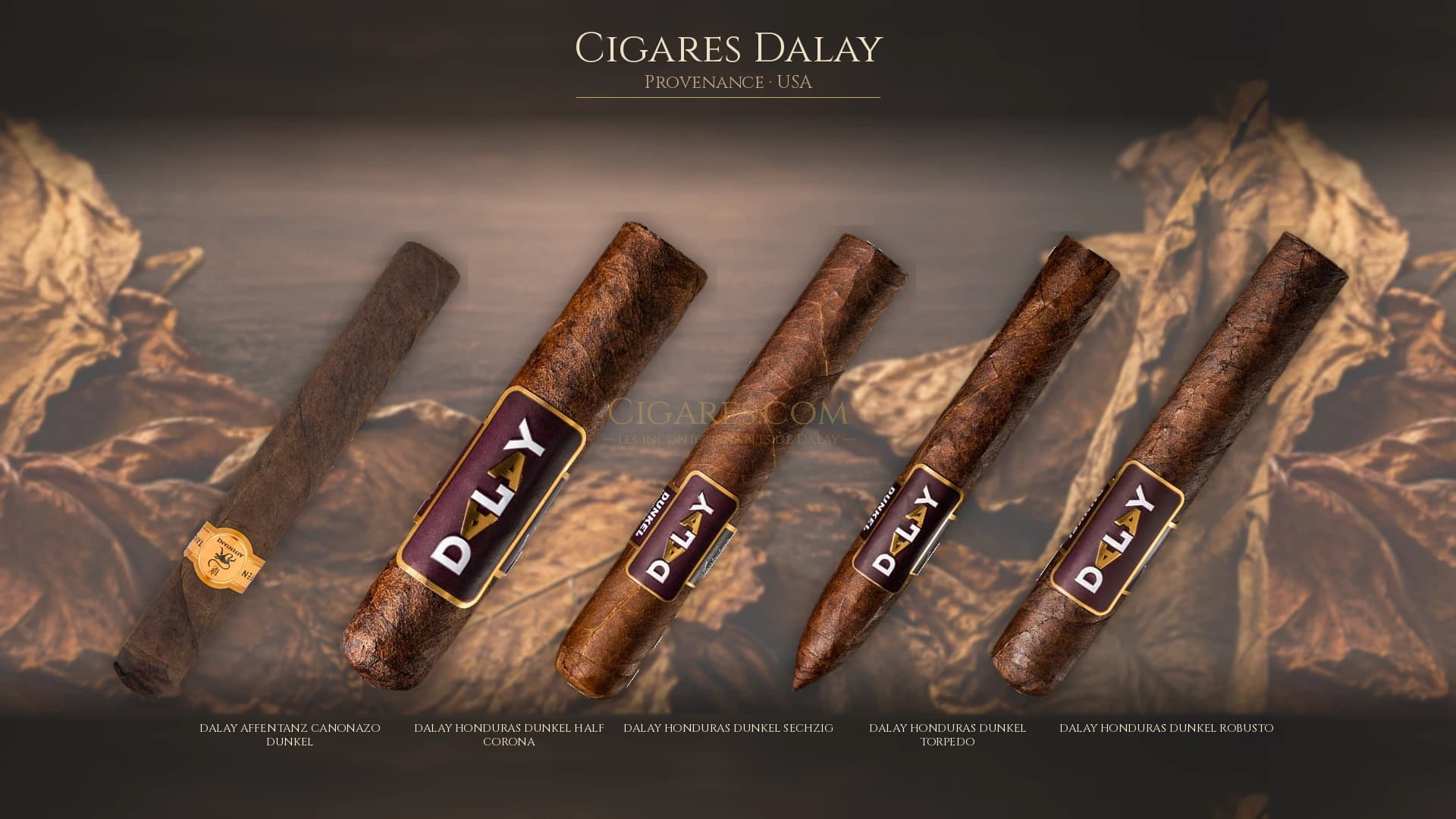 Top cigares Dalay Usa — les plus populaires