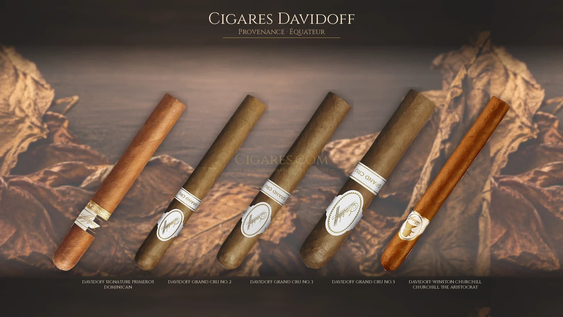 Top cigares Davidoff Equateur — les plus populaires