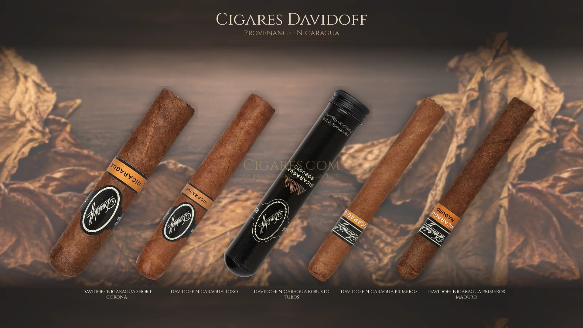 Top cigares Davidoff Nicaragua — les plus populaires