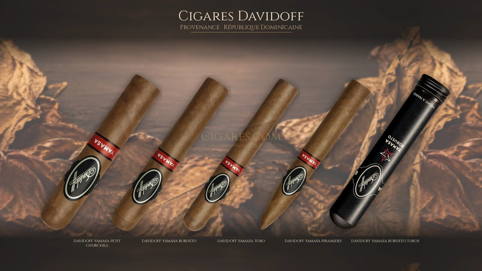 Top cigares Davidoff Republique Dominicaine — les plus populaires