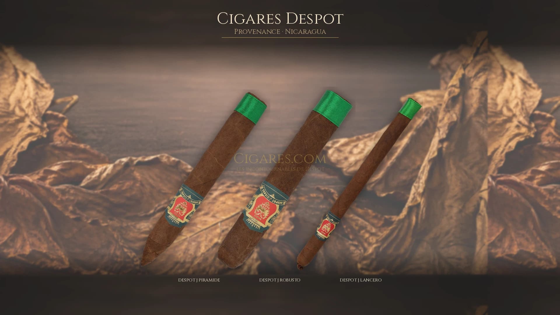 Top cigares Despot Nicaragua — les plus populaires