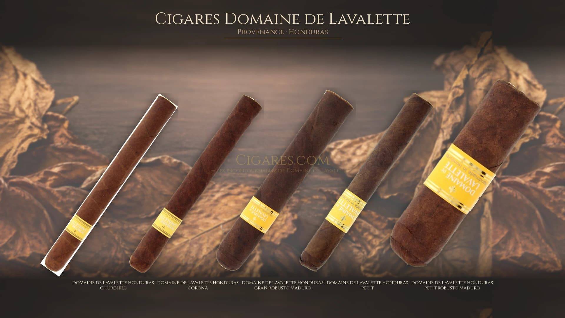 Top cigares Domaine de Lavalette Honduras — les plus populaires