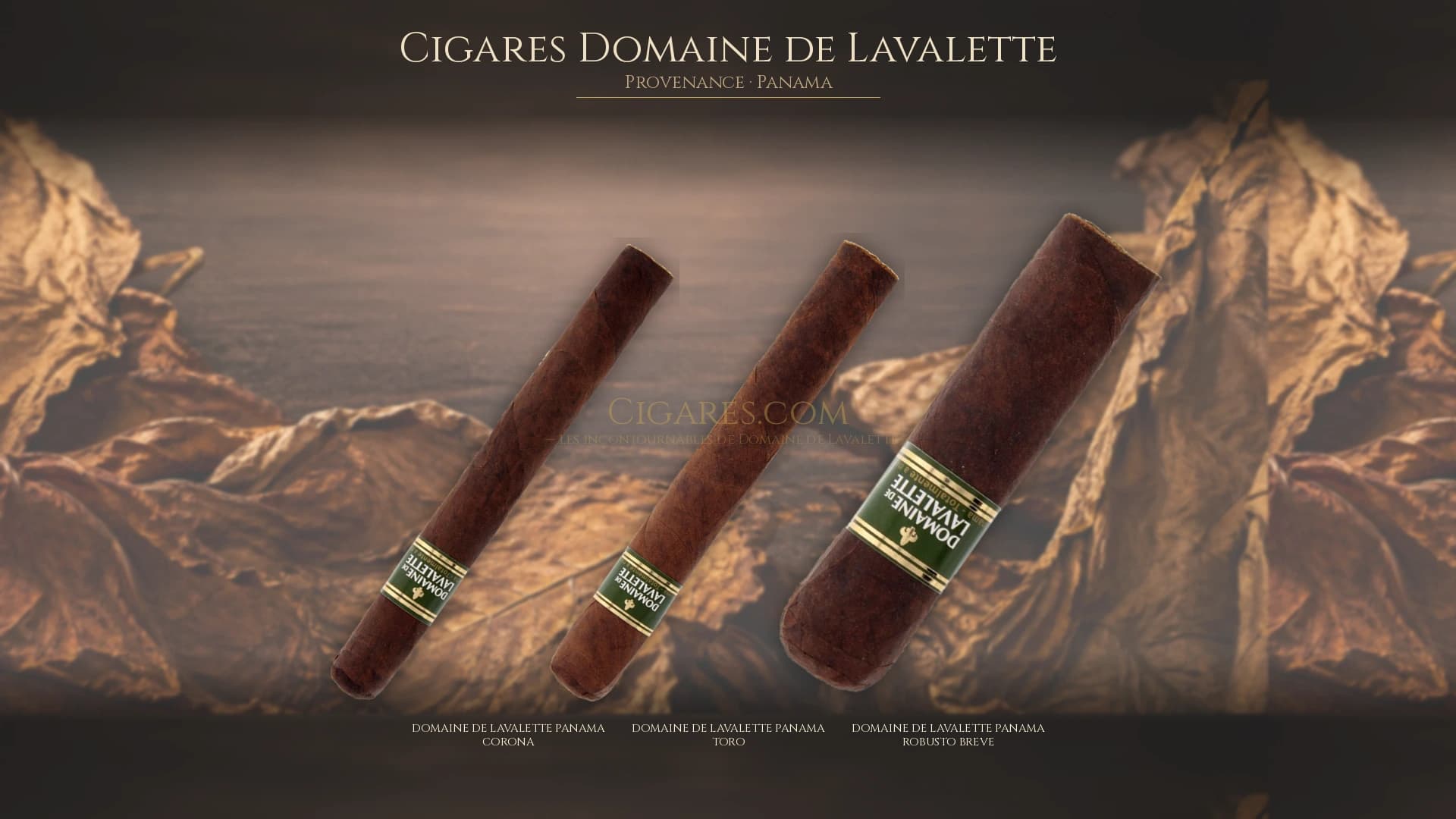 Top cigares Domaine de Lavalette Panama — les plus populaires