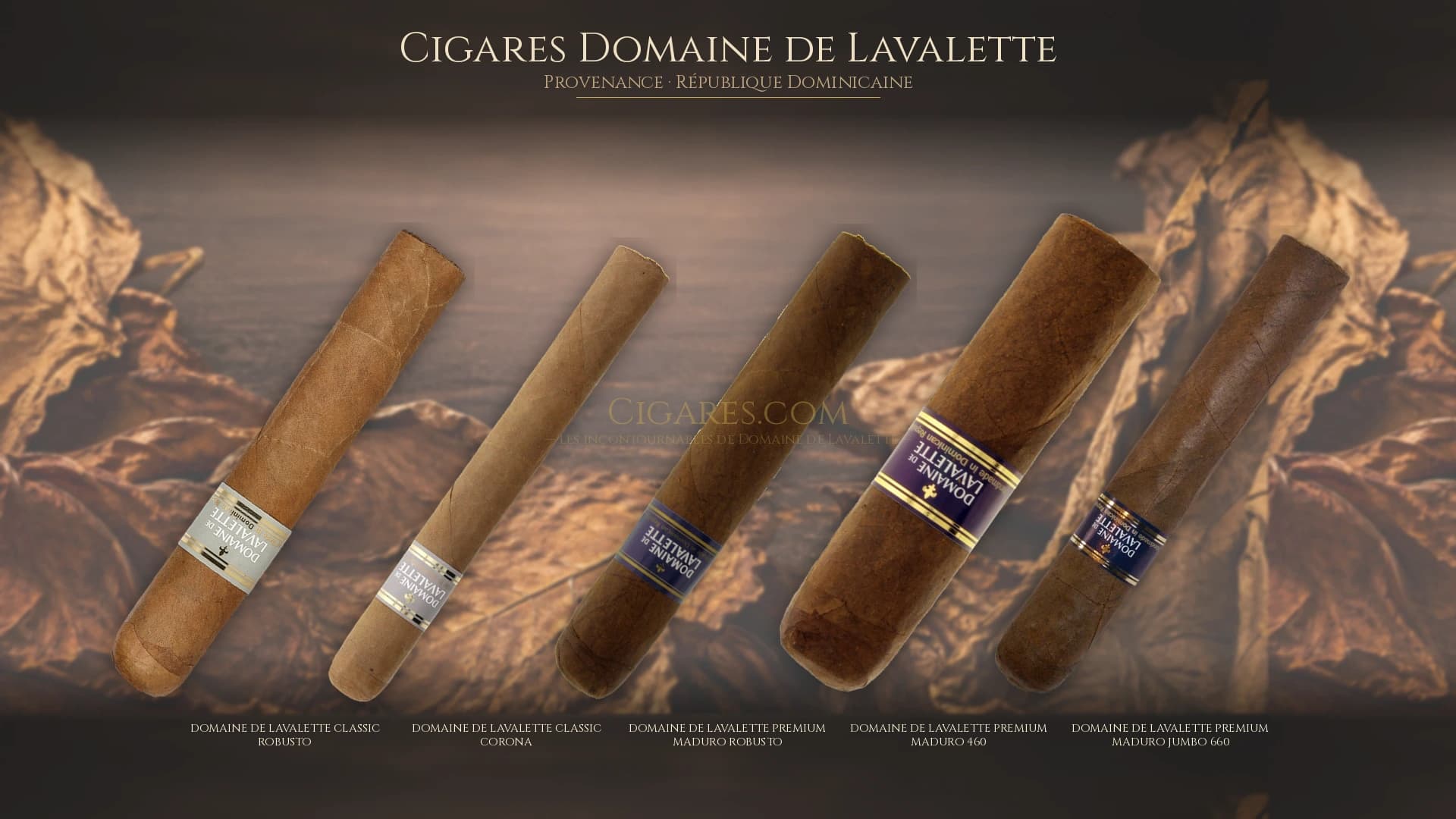 Top cigares Domaine de Lavalette Republique Dominicaine — les plus populaires