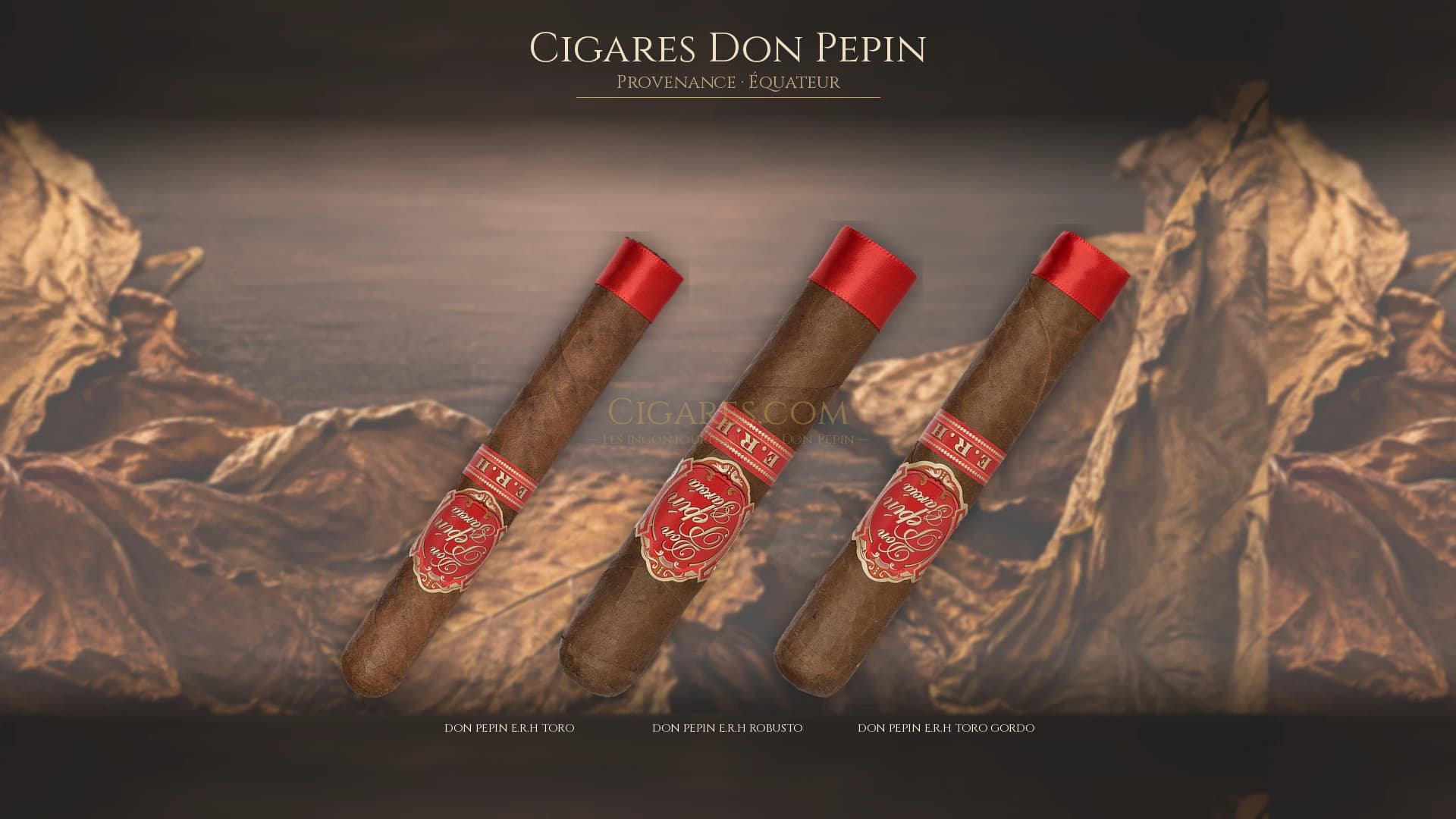 Top cigares Don Pepin Equateur — les plus populaires