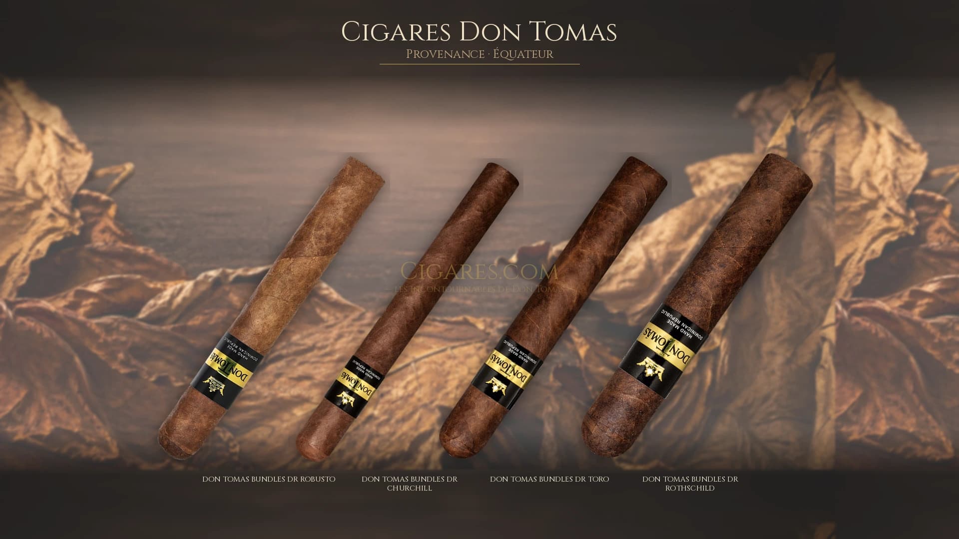 Top cigares Don Tomas Equateur — les plus populaires