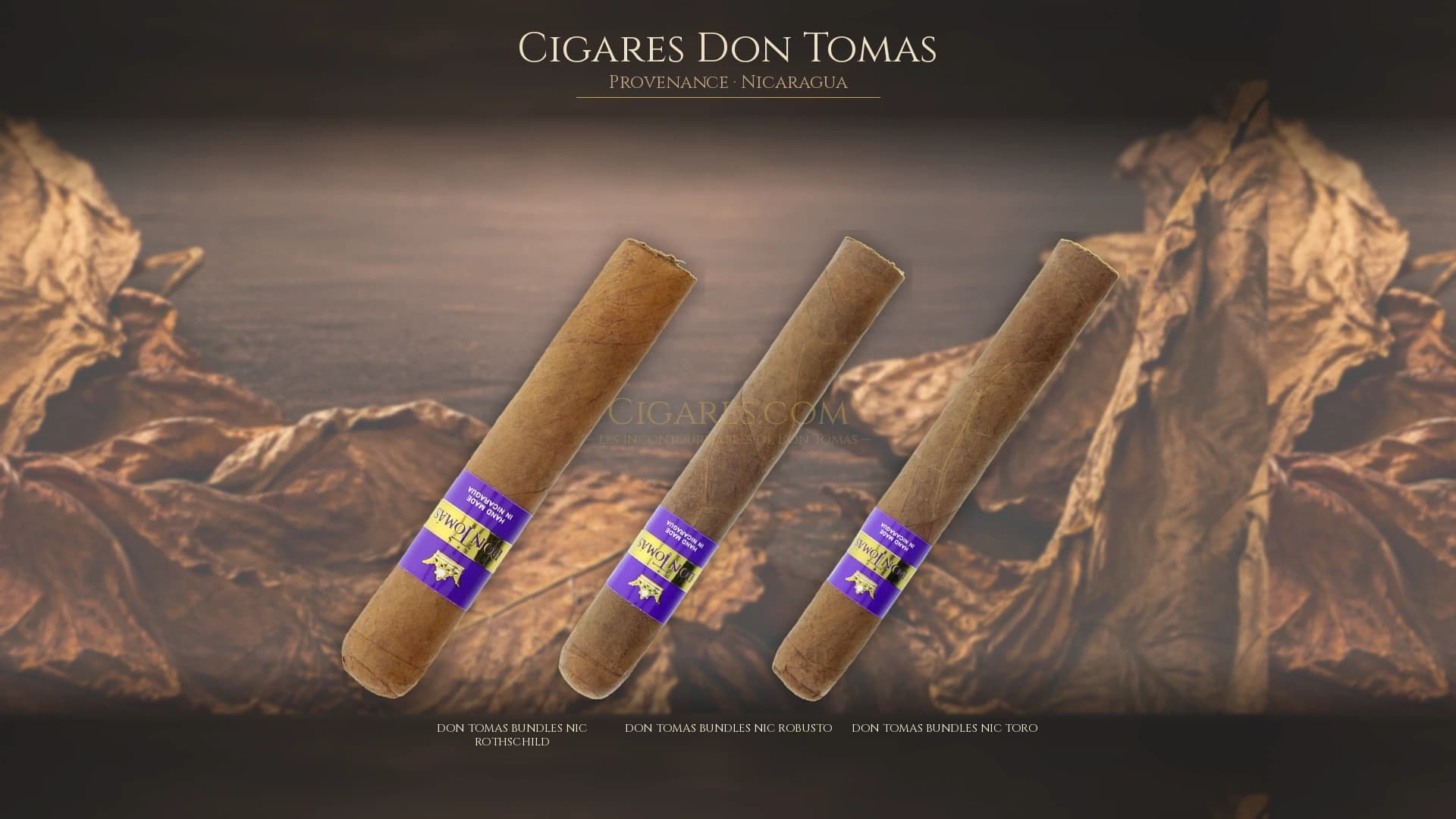 Top cigares Don Tomas Nicaragua — les plus populaires