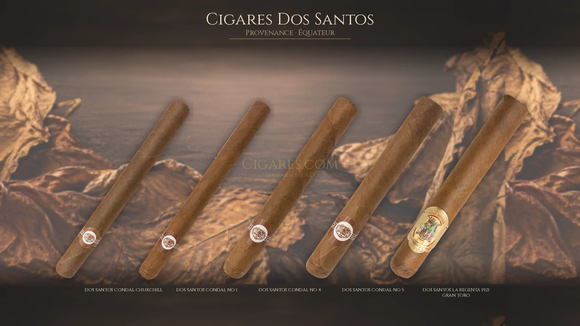 Top cigares Dos Santos Equateur — les plus populaires