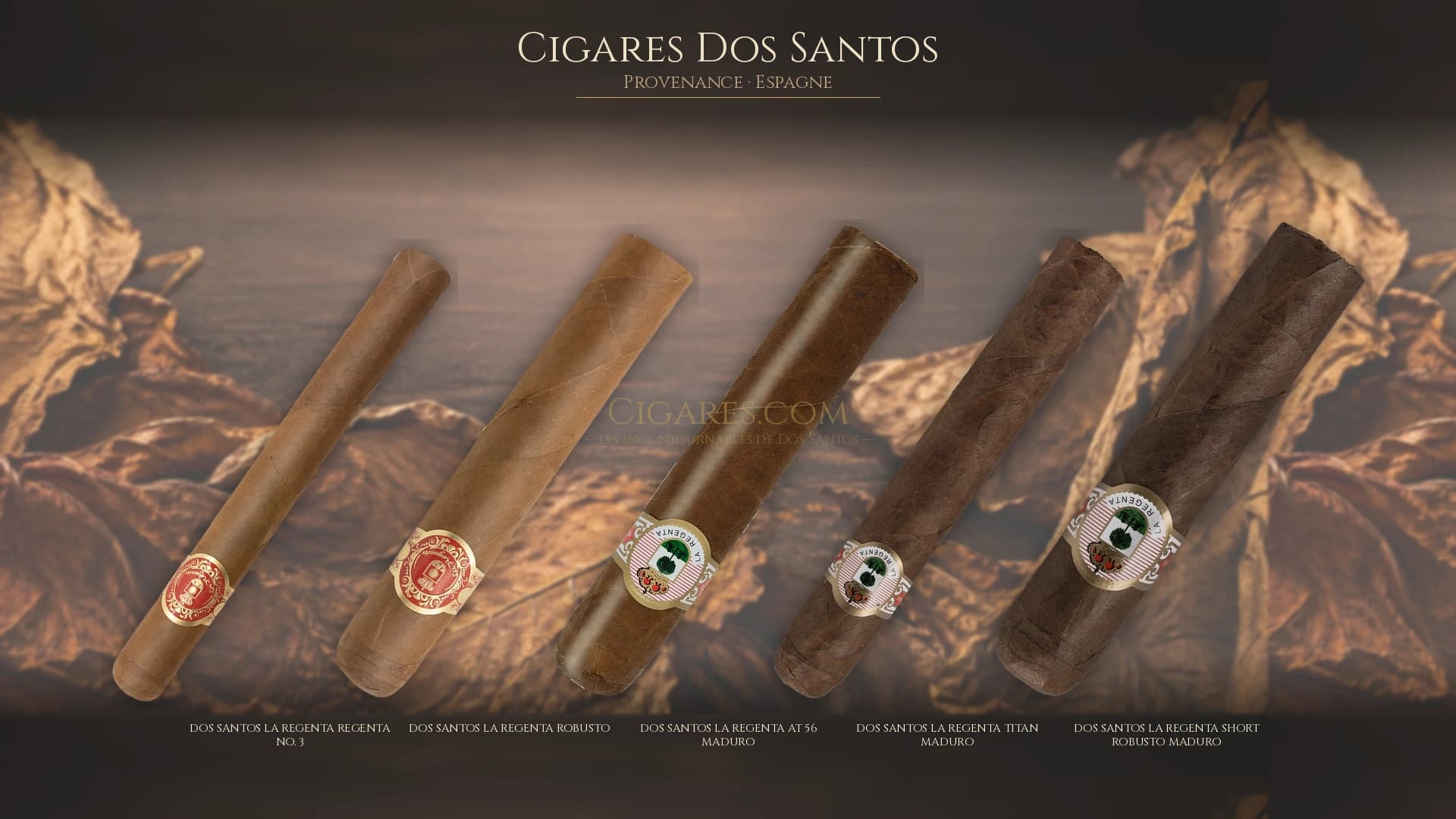 Top cigares Dos Santos Espagne — les plus populaires