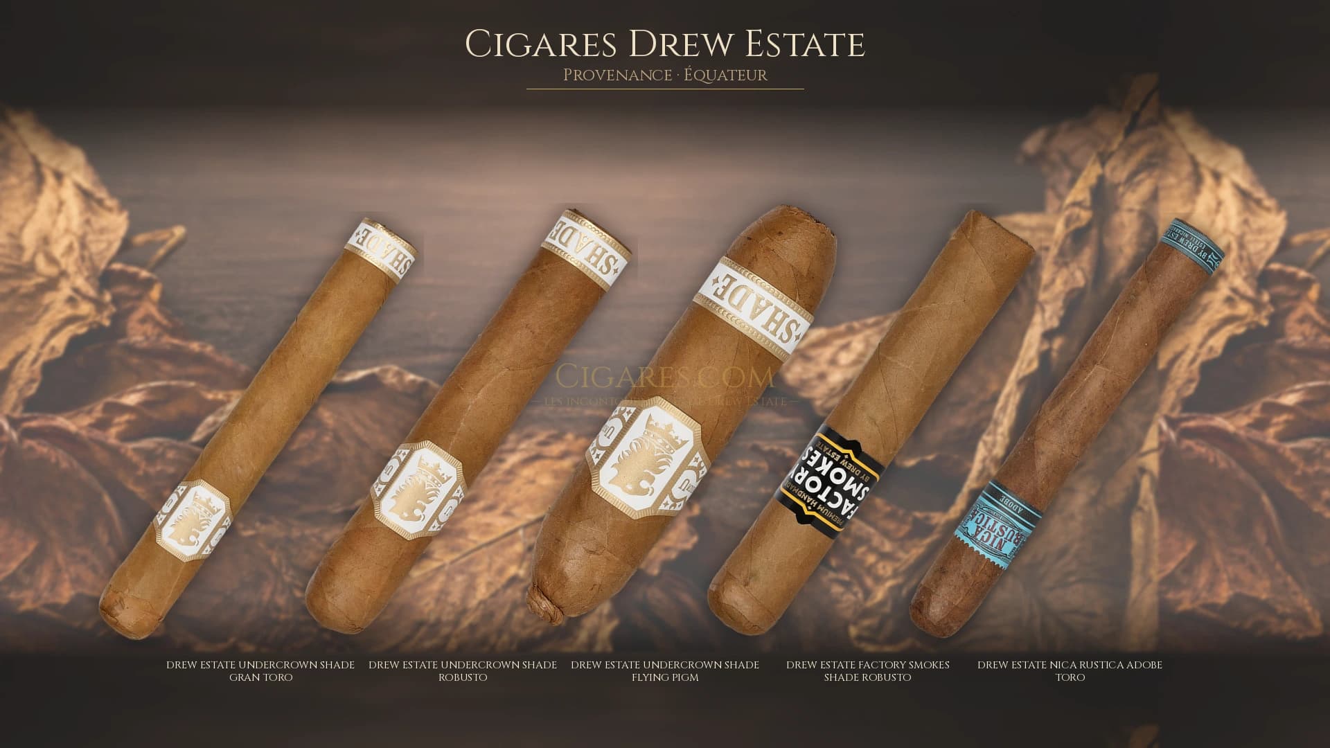 Top cigares Drew Estate Equateur — les plus populaires