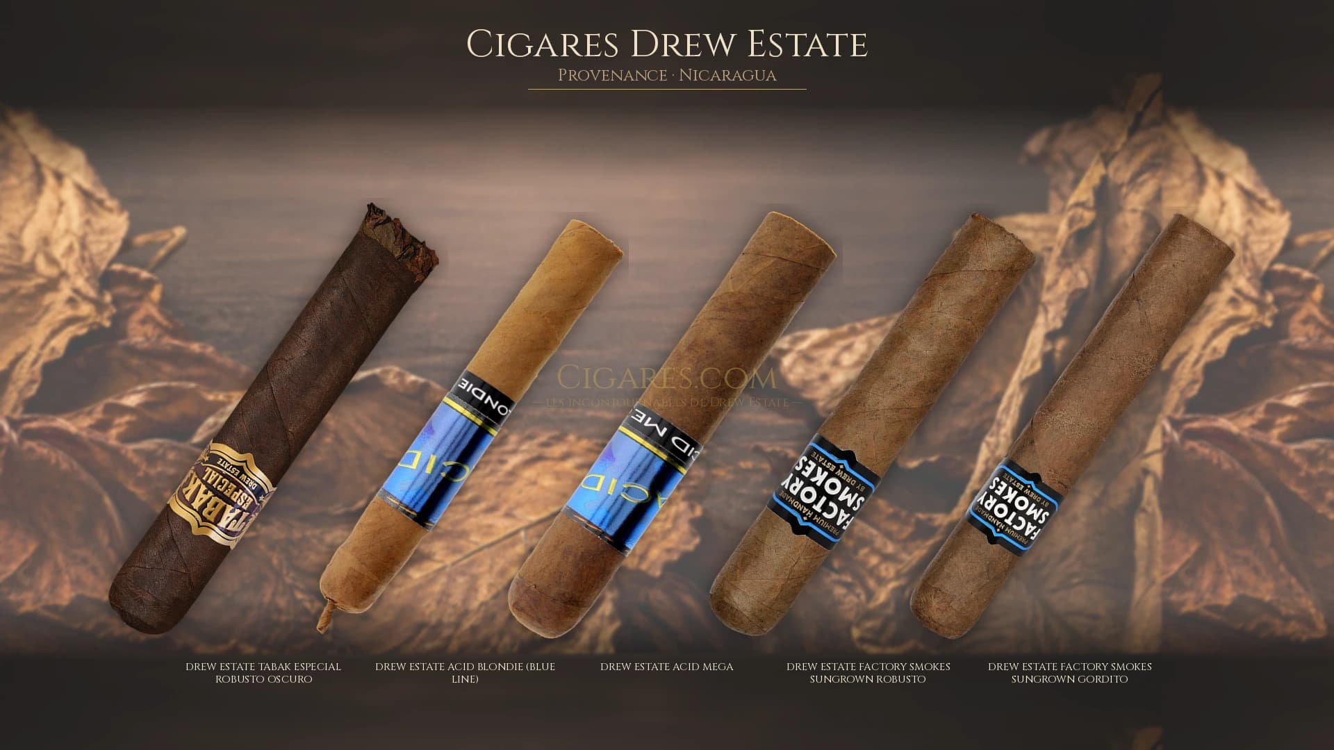 Top cigares Drew Estate Nicaragua — les plus populaires