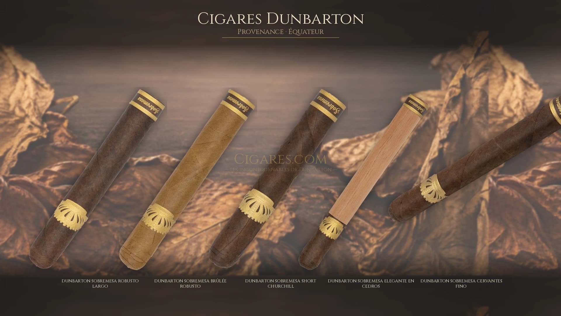 Top cigares Dunbarton Equateur — les plus populaires