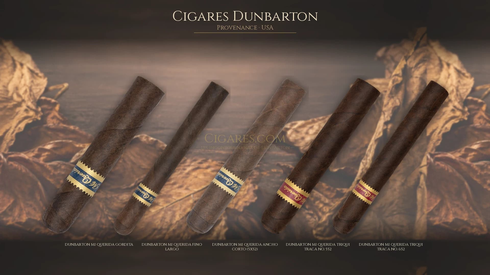Top cigares Dunbarton Usa — les plus populaires